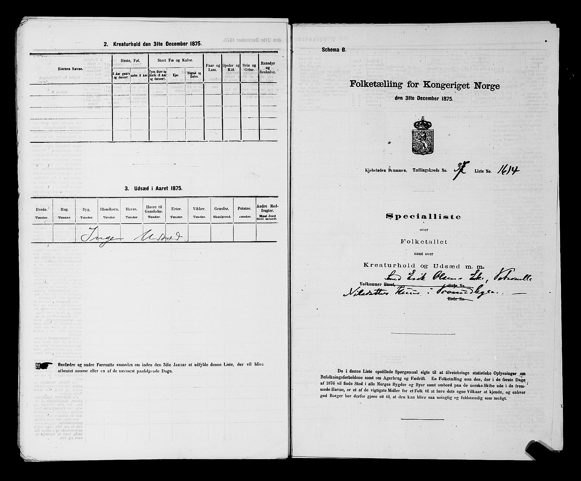 SAKO, Folketelling 1875 for 0602 Drammen kjøpstad, 1875, s. 3220