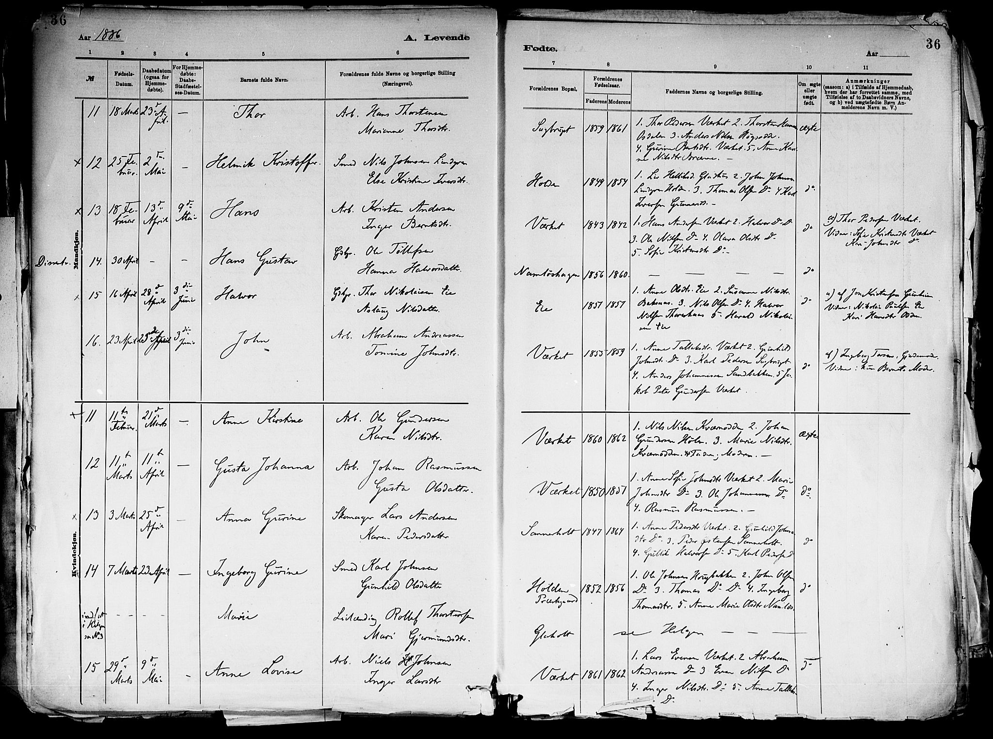 Holla kirkebøker, AV/SAKO-A-272/F/Fa/L0008: Ministerialbok nr. 8, 1882-1897, s. 36