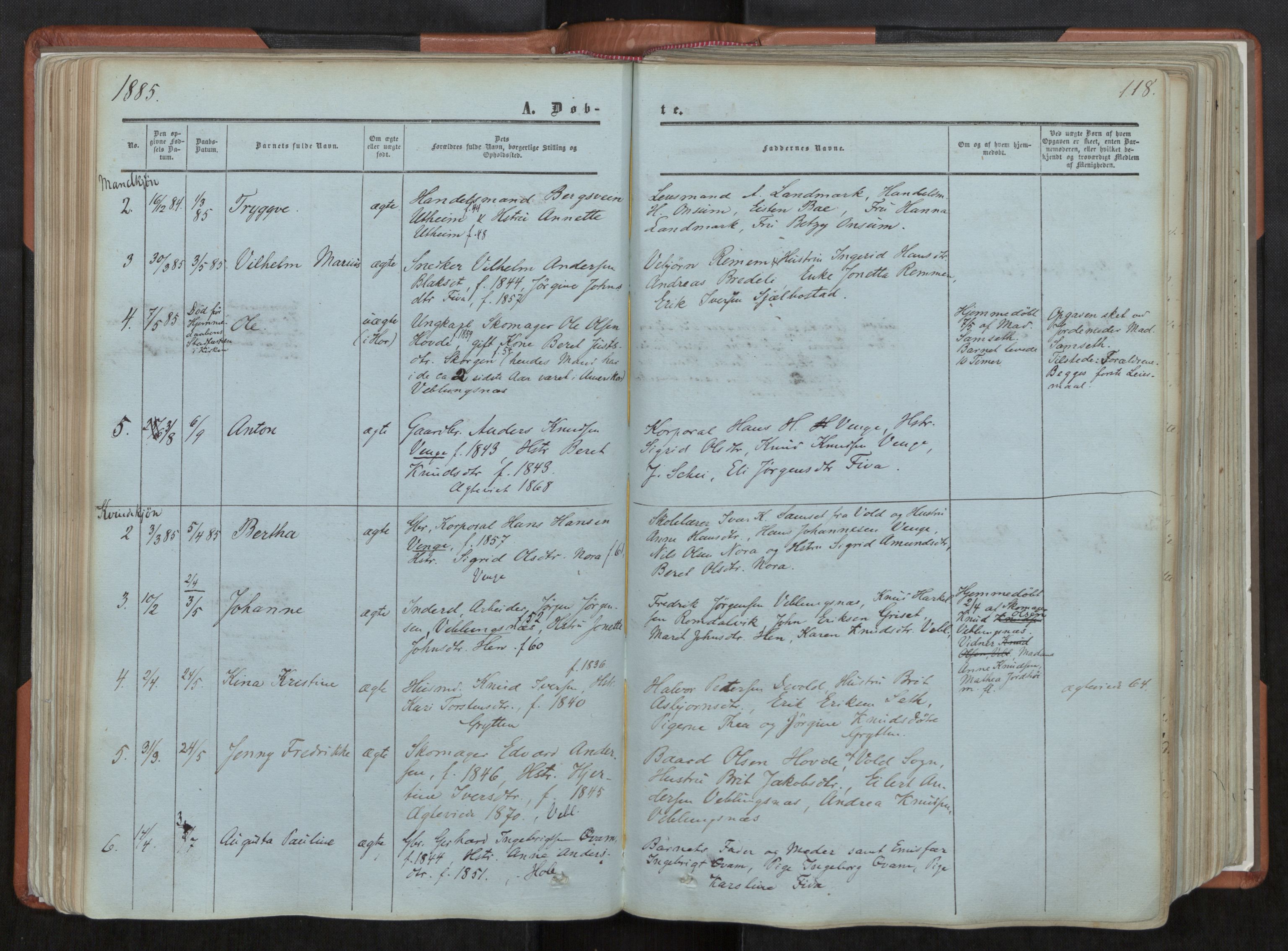 Ministerialprotokoller, klokkerbøker og fødselsregistre - Møre og Romsdal, SAT/A-1454/544/L0572: Ministerialbok nr. 544A05, 1854-1886, s. 118