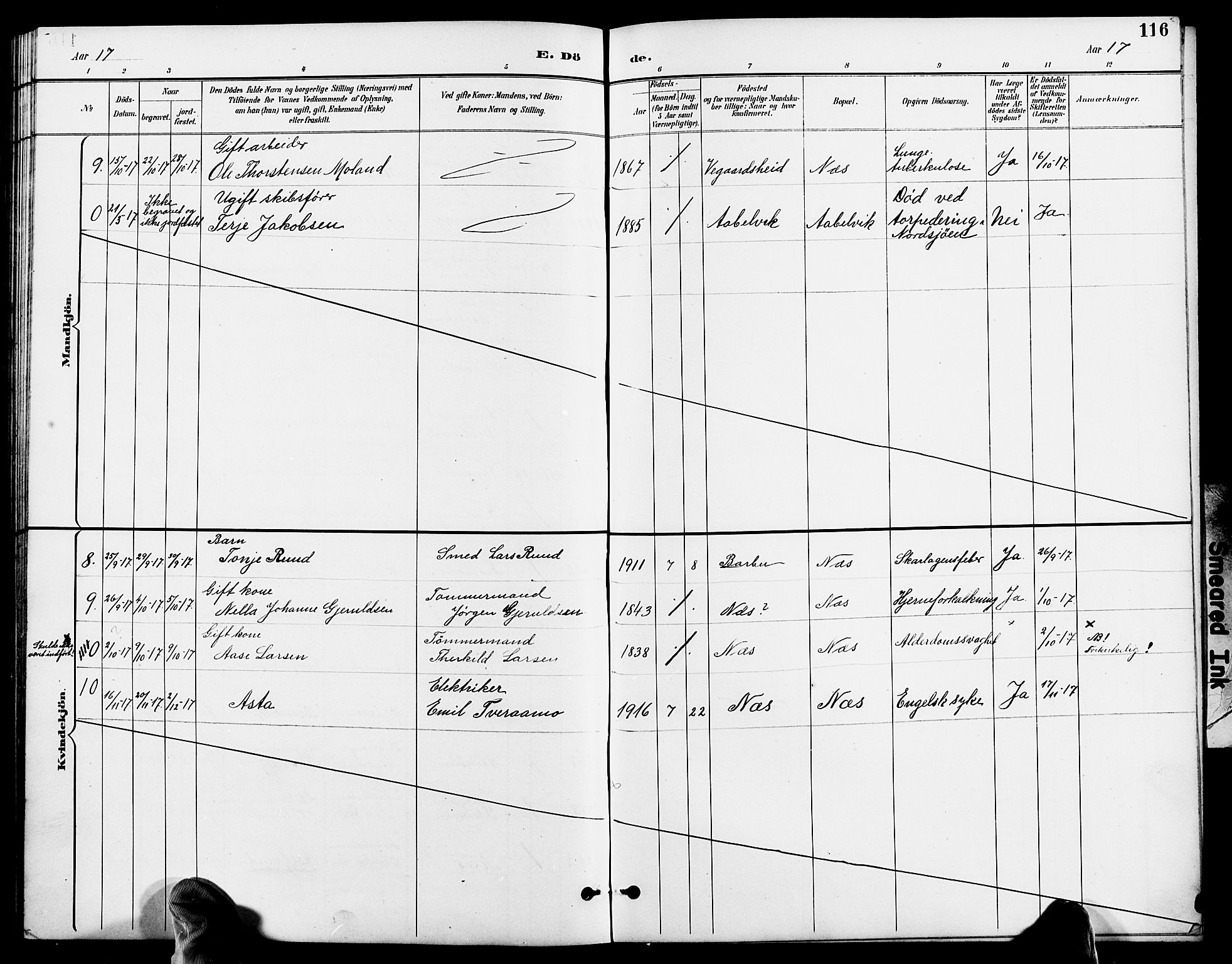 Austre Moland sokneprestkontor, AV/SAK-1111-0001/F/Fb/Fbb/L0002: Klokkerbok nr. B 2, 1894-1918, s. 116