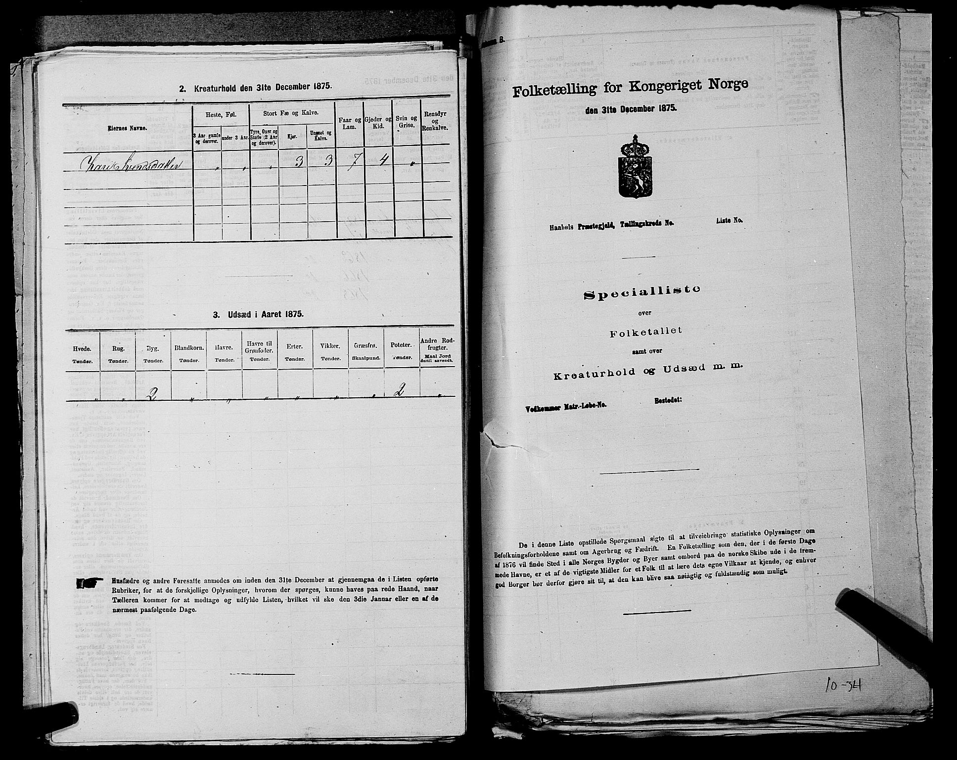 SAKO, Folketelling 1875 for 0620P Hol prestegjeld, 1875, s. 428