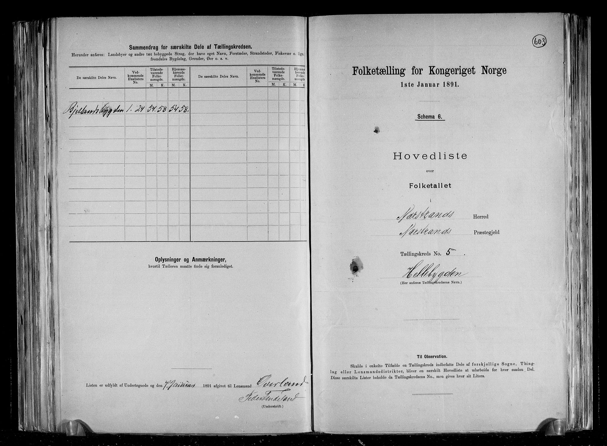 RA, Folketelling 1891 for 1139 Nedstrand herred, 1891, s. 13