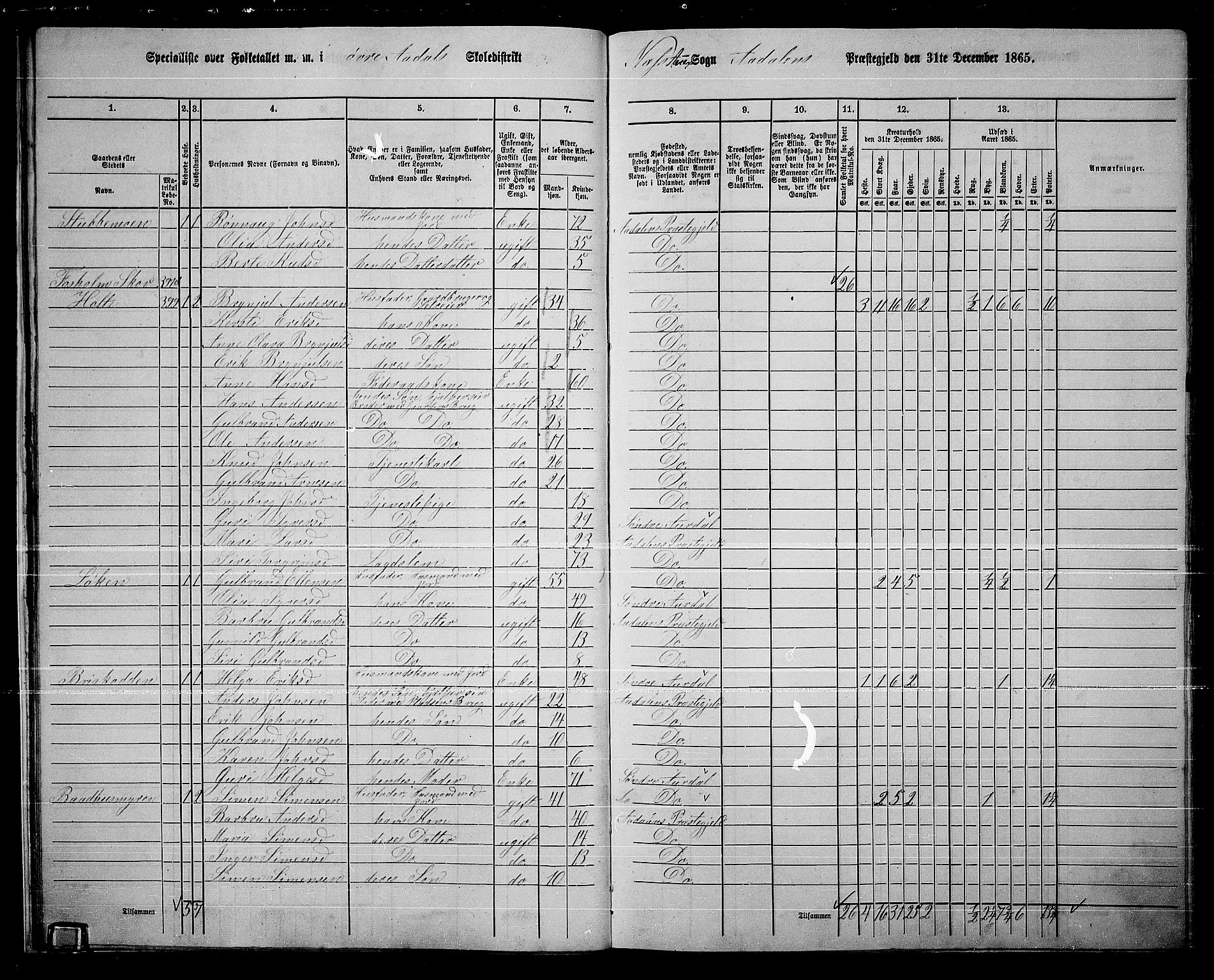 RA, Folketelling 1865 for 0614P Ådal prestegjeld, 1865, s. 27