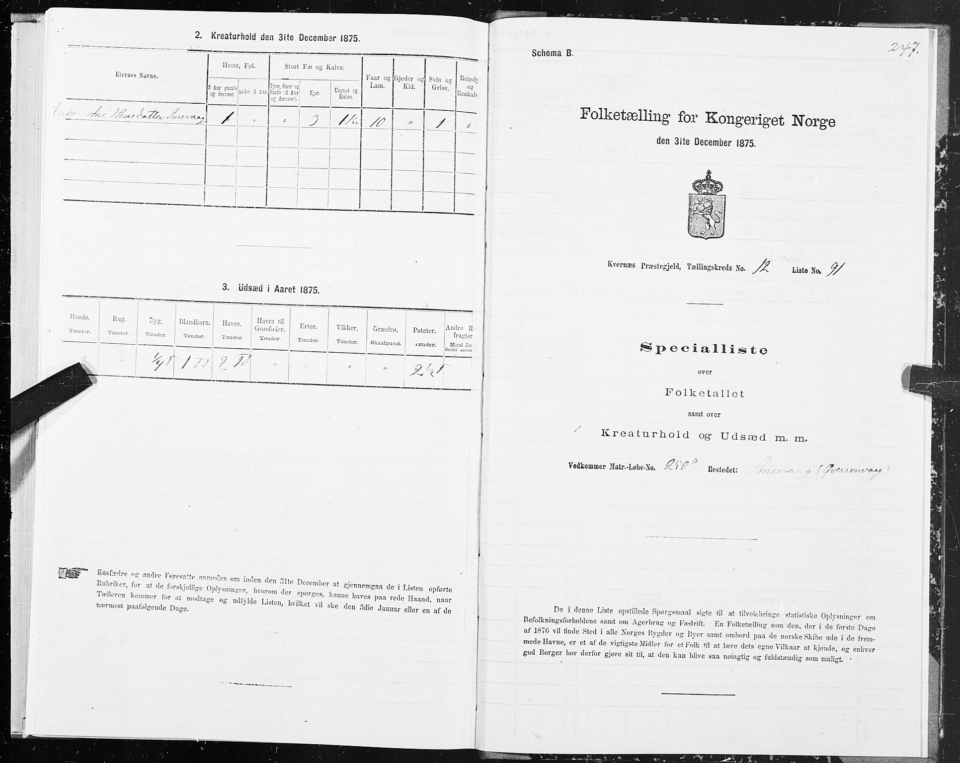 SAT, Folketelling 1875 for 1553P Kvernes prestegjeld, 1875, s. 6247