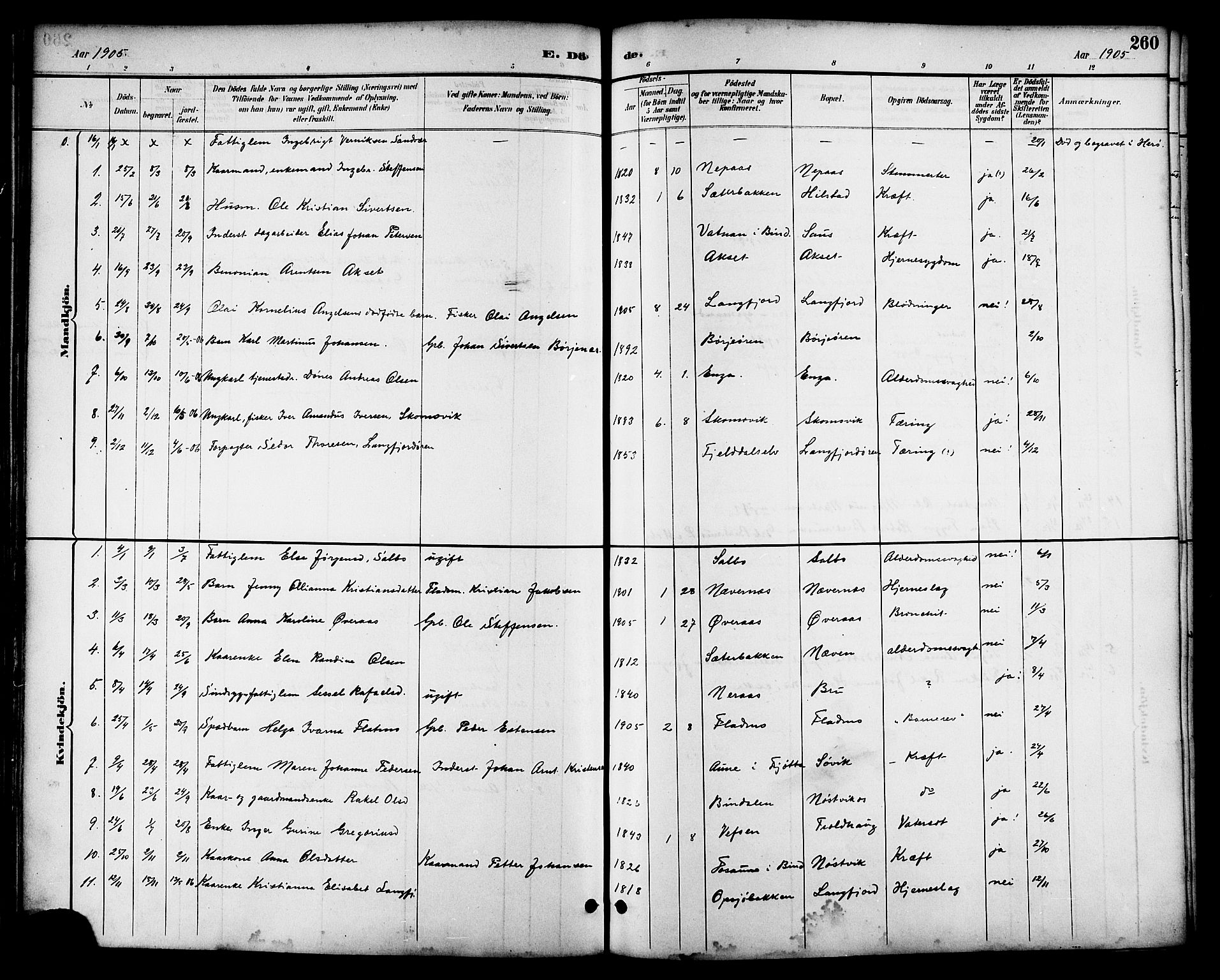 Ministerialprotokoller, klokkerbøker og fødselsregistre - Nordland, SAT/A-1459/814/L0230: Klokkerbok nr. 814C03, 1884-1911, s. 260