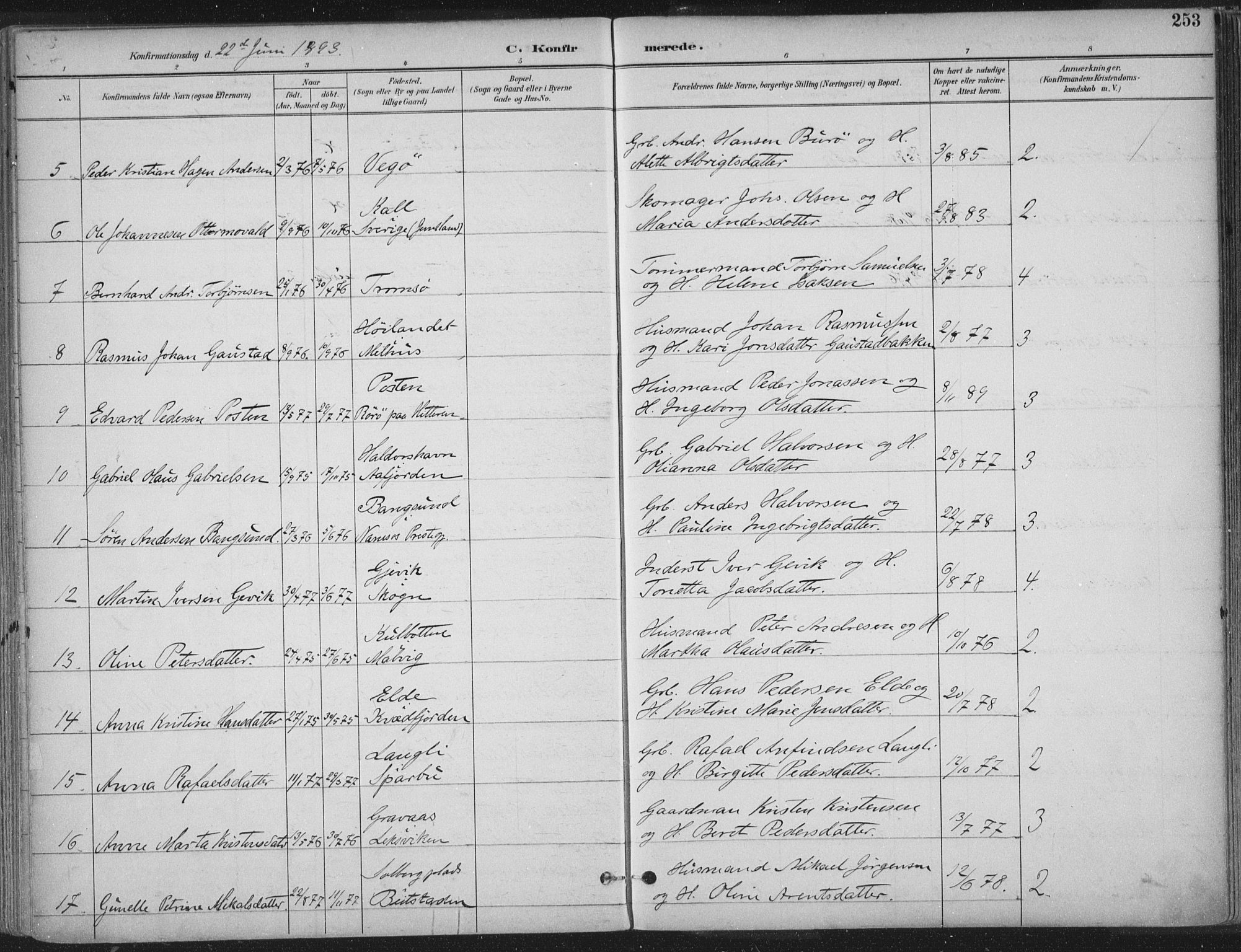 Ministerialprotokoller, klokkerbøker og fødselsregistre - Sør-Trøndelag, SAT/A-1456/601/L0062: Ministerialbok nr. 601A30, 1891-1911, s. 253