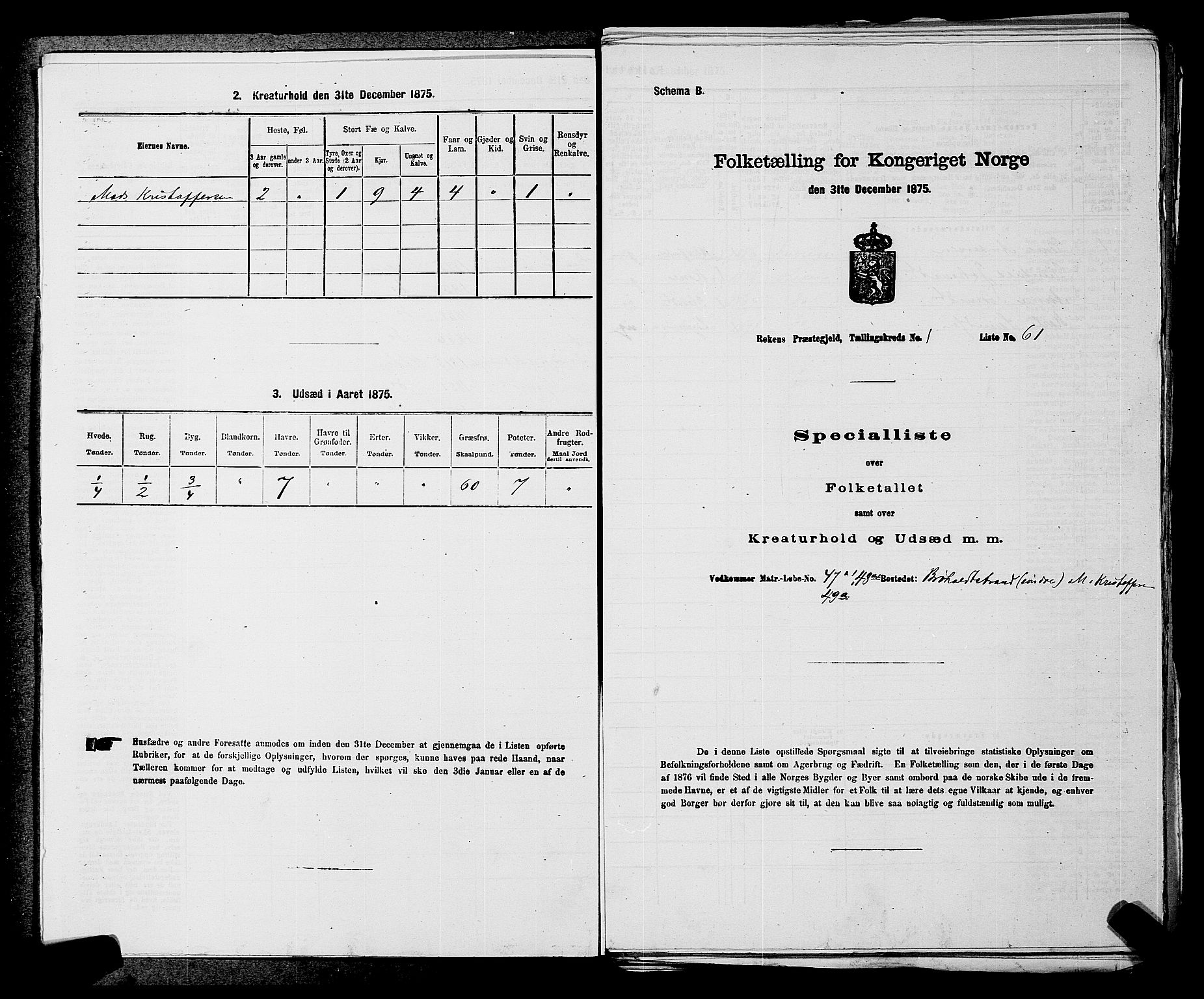 SAKO, Folketelling 1875 for 0627P Røyken prestegjeld, 1875, s. 43