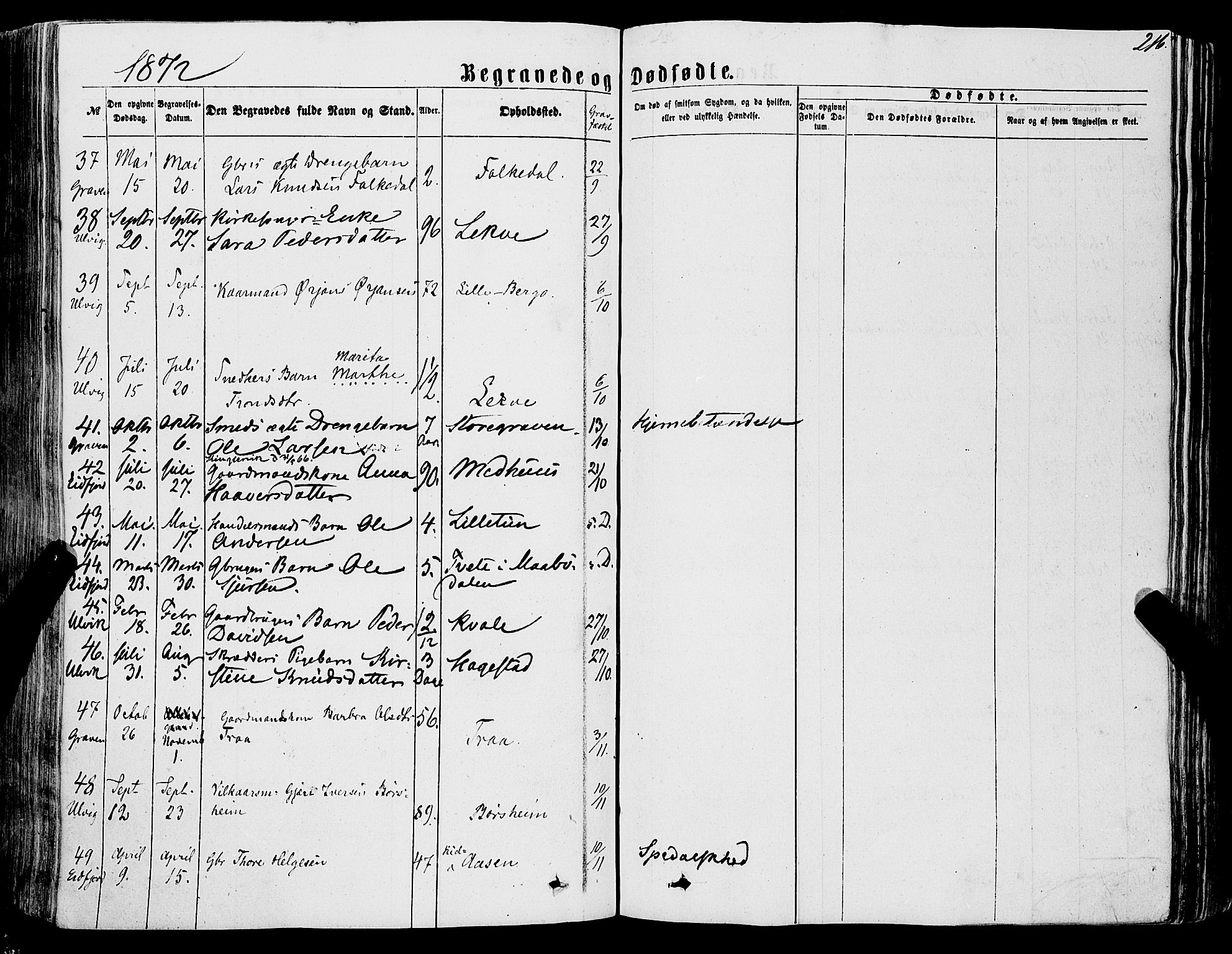 Ulvik sokneprestembete, AV/SAB-A-78801/H/Haa: Ministerialbok nr. A 15, 1864-1878, s. 216