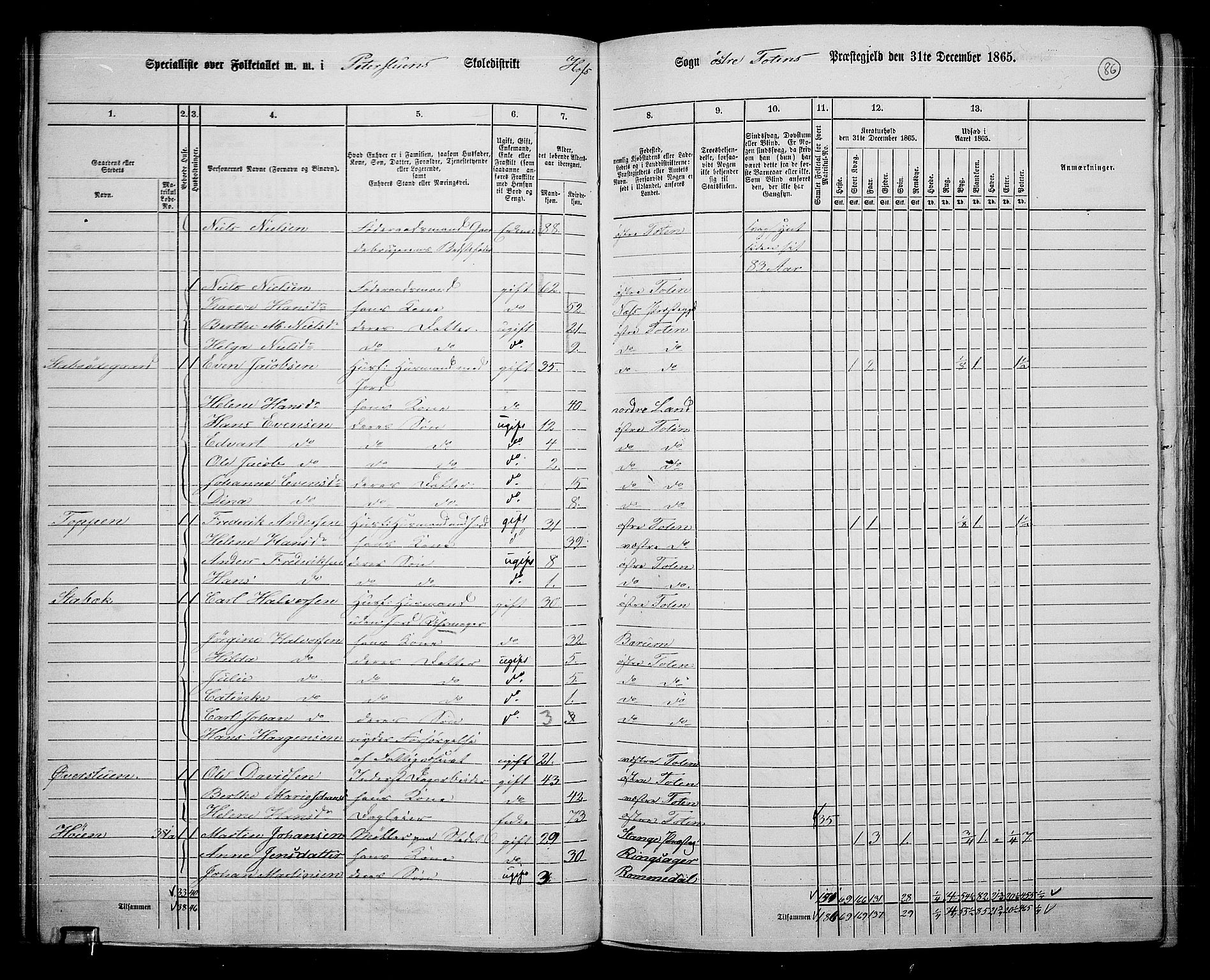 RA, Folketelling 1865 for 0528P Østre Toten prestegjeld, 1865, s. 207