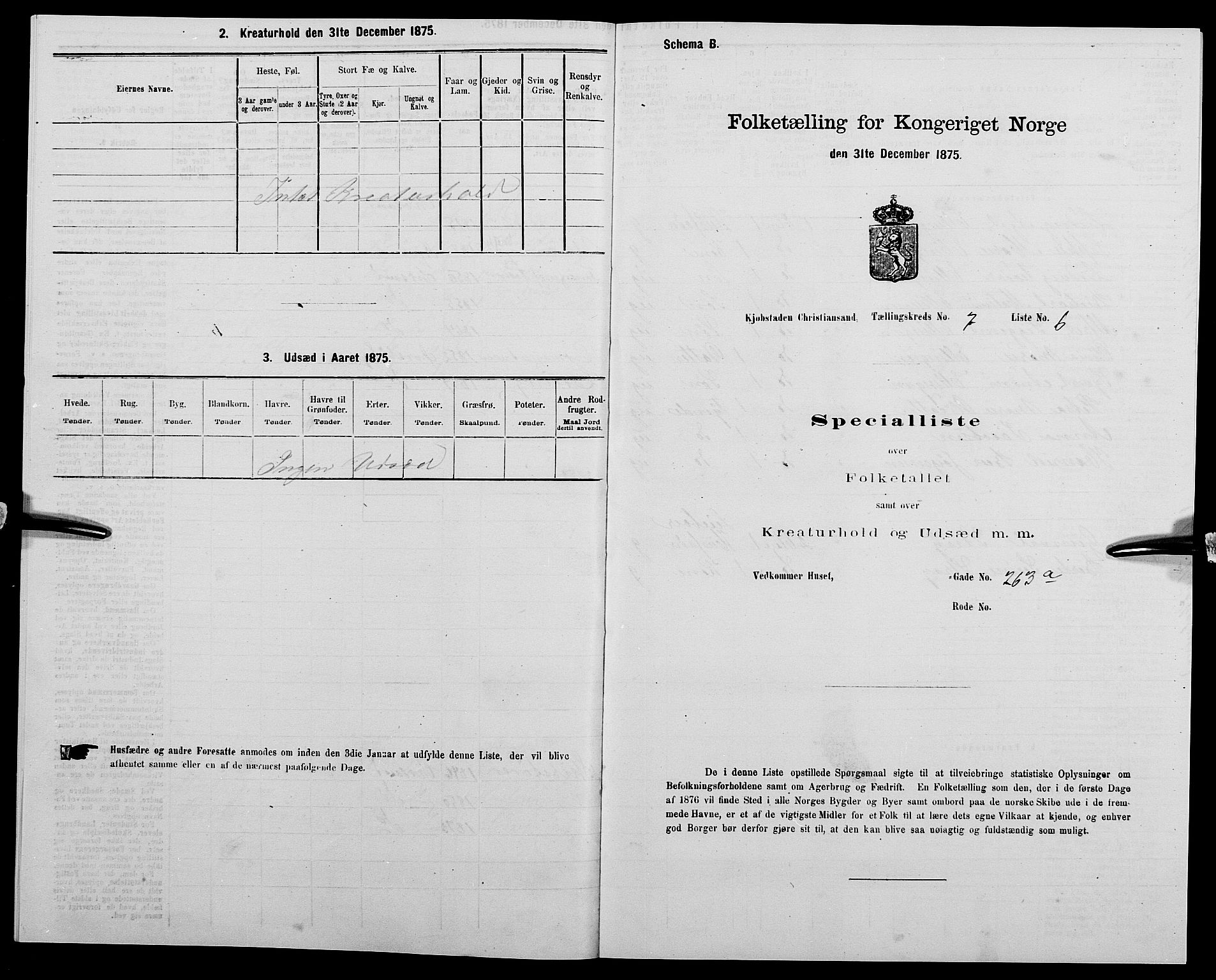 SAK, Folketelling 1875 for 1001P Kristiansand prestegjeld, 1875, s. 998