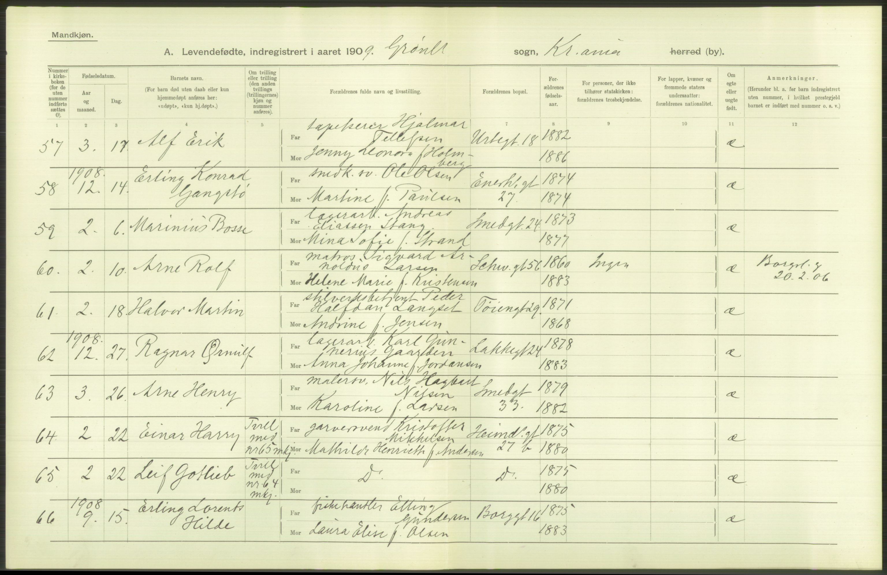 Statistisk sentralbyrå, Sosiodemografiske emner, Befolkning, RA/S-2228/D/Df/Dfa/Dfag/L0007: Kristiania: Levendefødte menn og kvinner., 1909, s. 244