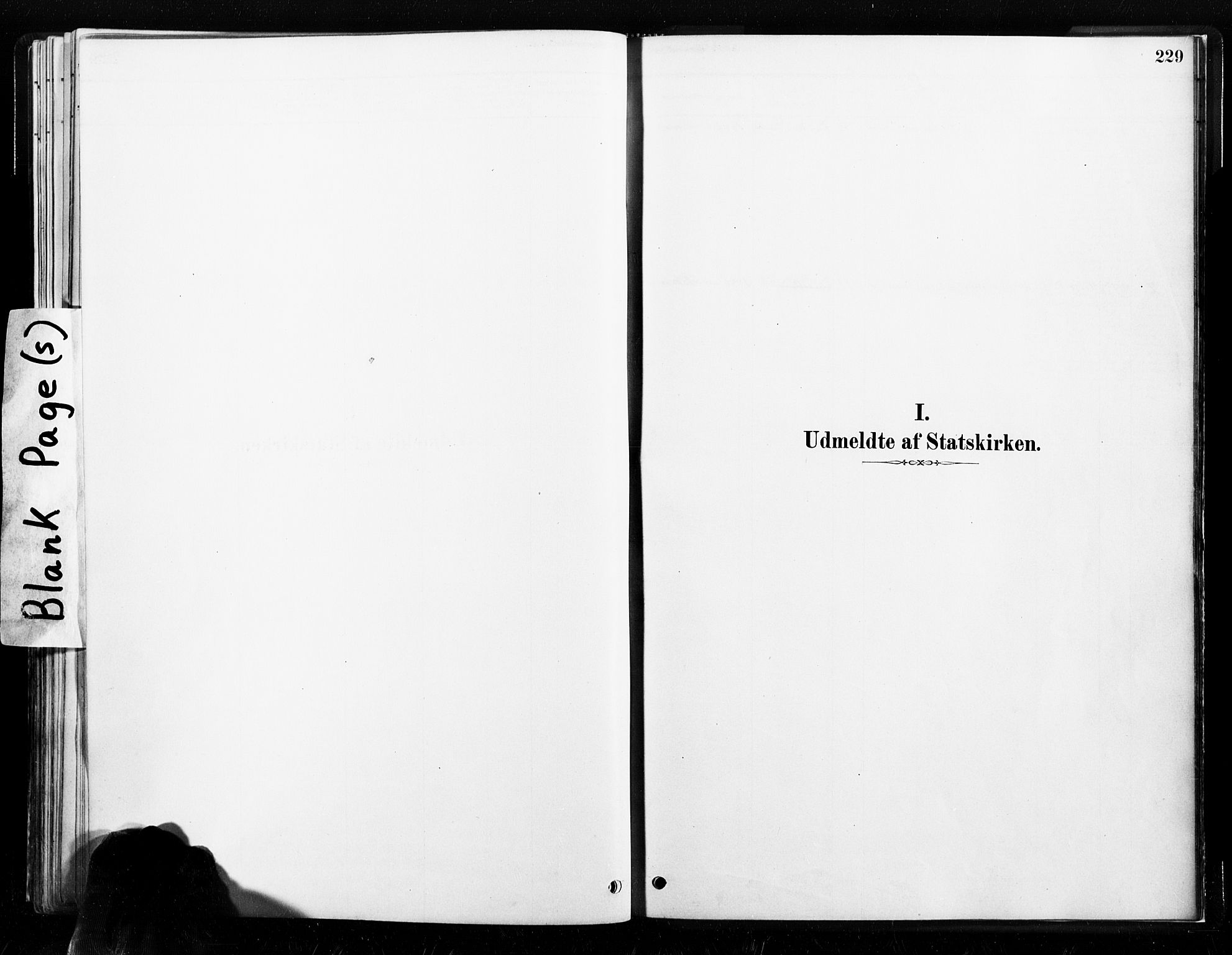 Ministerialprotokoller, klokkerbøker og fødselsregistre - Nord-Trøndelag, AV/SAT-A-1458/789/L0705: Ministerialbok nr. 789A01, 1878-1910, s. 229