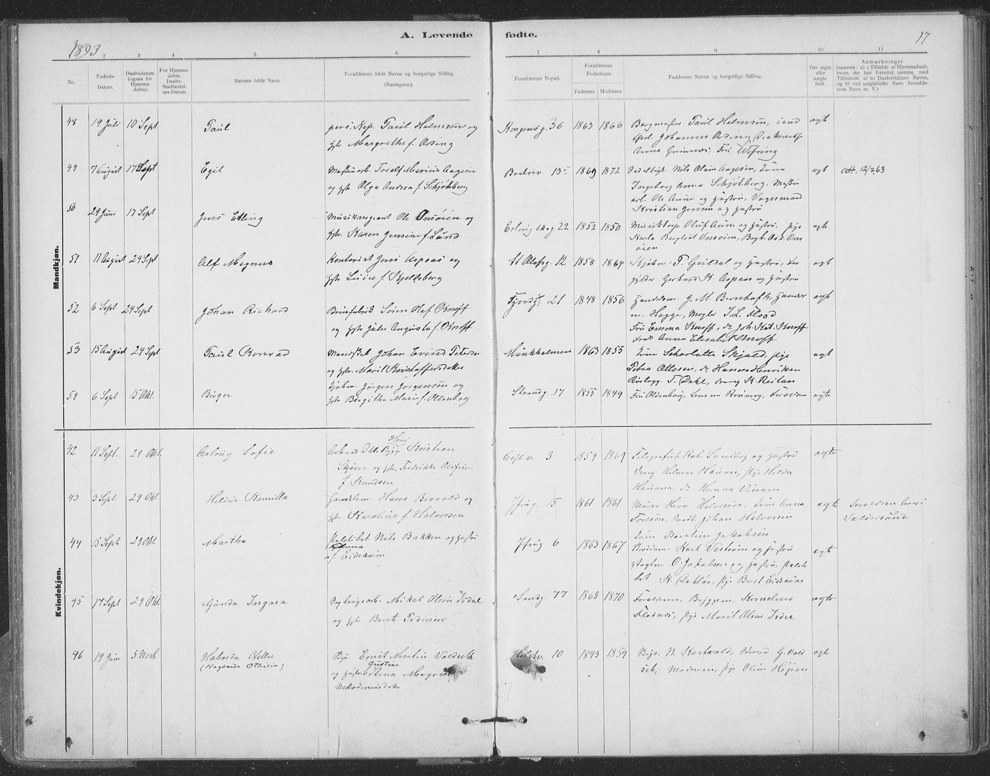 Ministerialprotokoller, klokkerbøker og fødselsregistre - Sør-Trøndelag, SAT/A-1456/602/L0122: Ministerialbok nr. 602A20, 1892-1908, s. 17