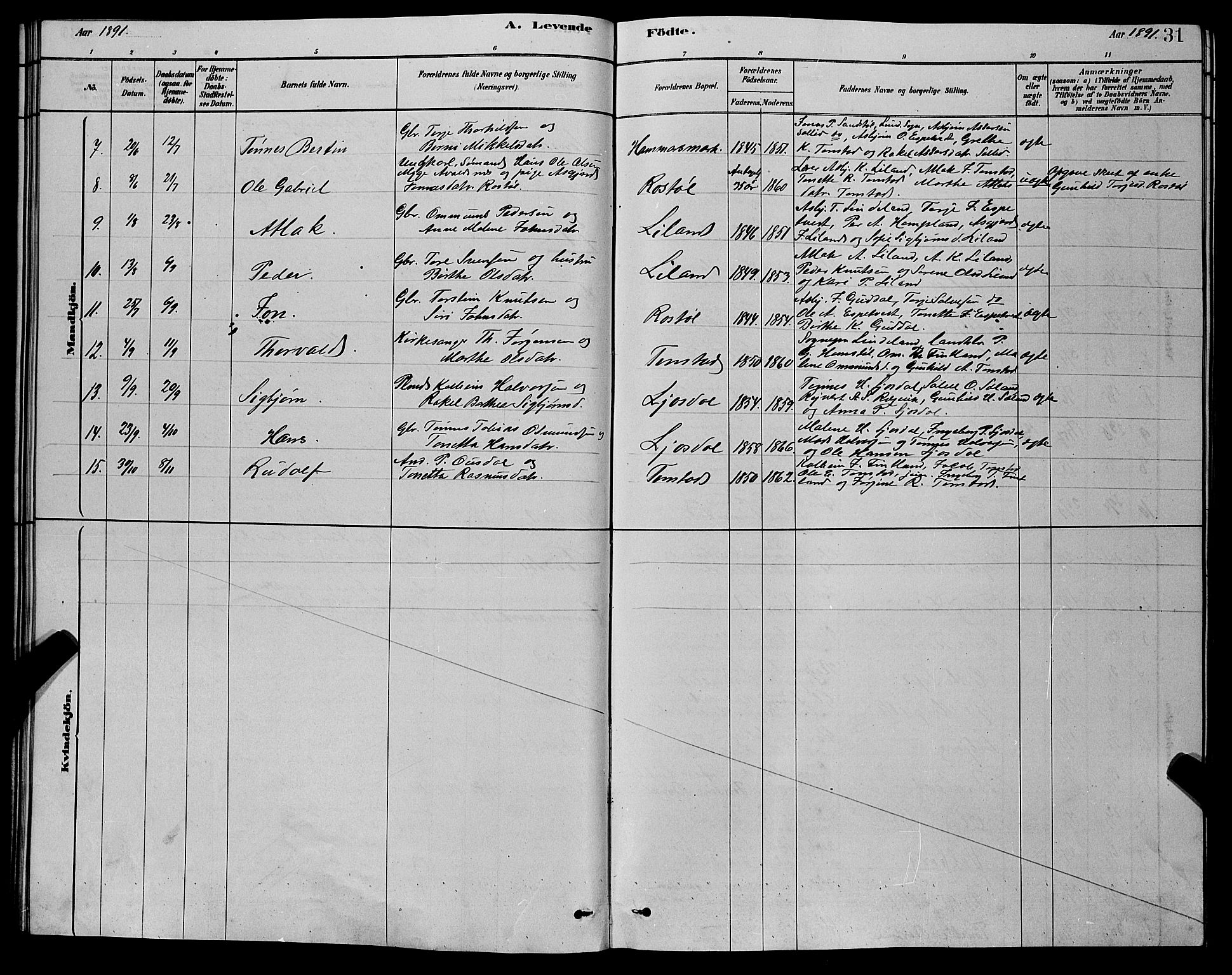 Sirdal sokneprestkontor, AV/SAK-1111-0036/F/Fb/Fbb/L0003: Klokkerbok nr. B 3, 1878-1894, s. 31