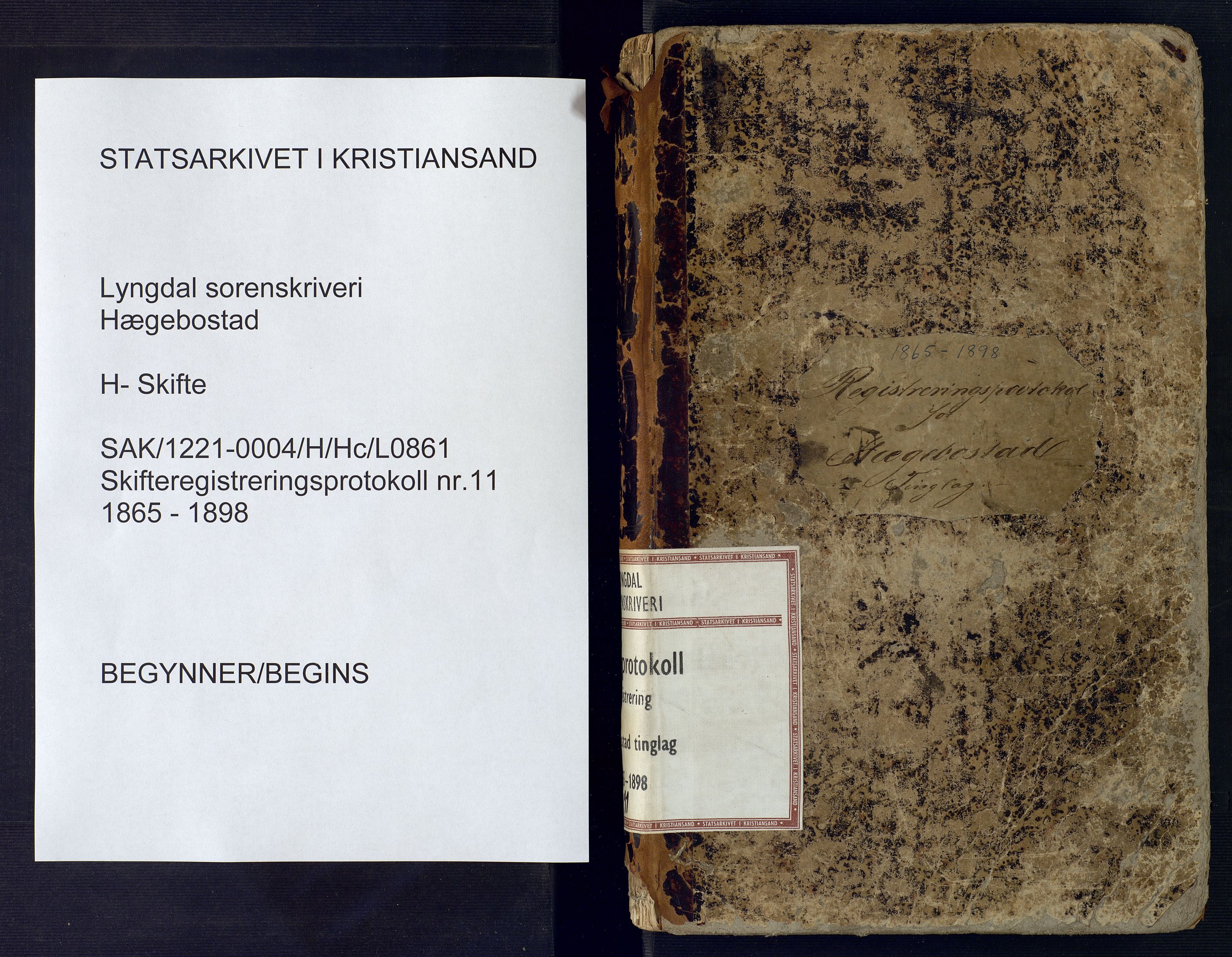 Lyngdal sorenskriveri, AV/SAK-1221-0004/H/Hc/L0861: Skifteregistreringsprotokoll nr. 11, Hægebostad tinglag, 1865-1898