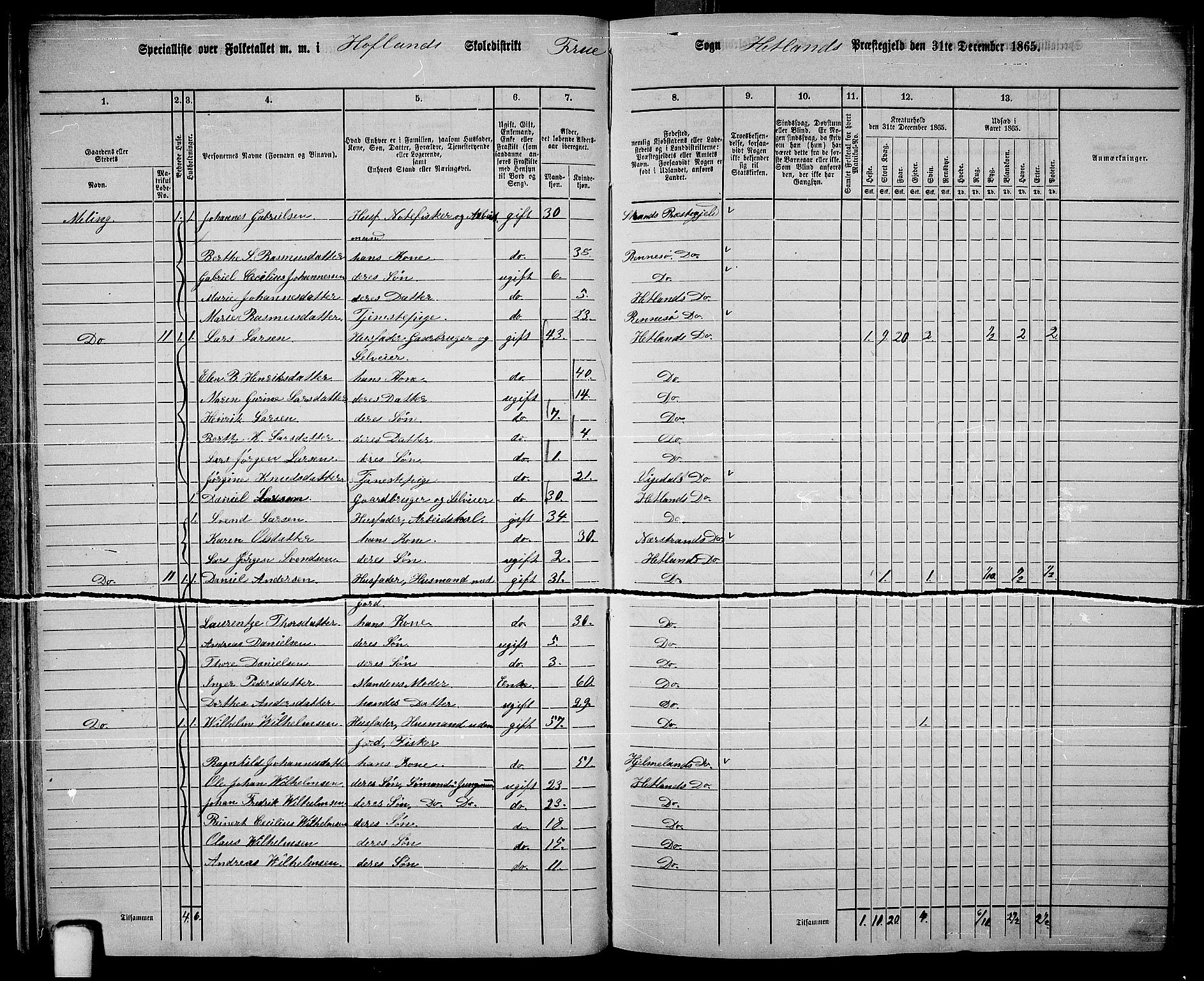 RA, Folketelling 1865 for 1126P Hetland prestegjeld, 1865, s. 23