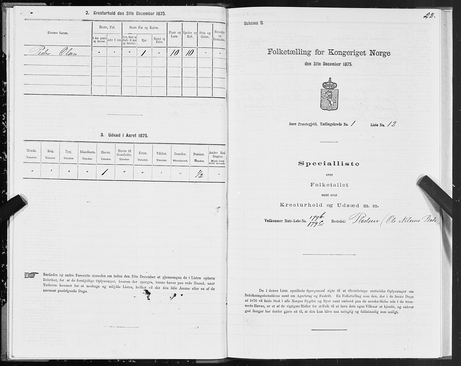 SAT, Folketelling 1875 for 1569P Aure prestegjeld, 1875, s. 1023