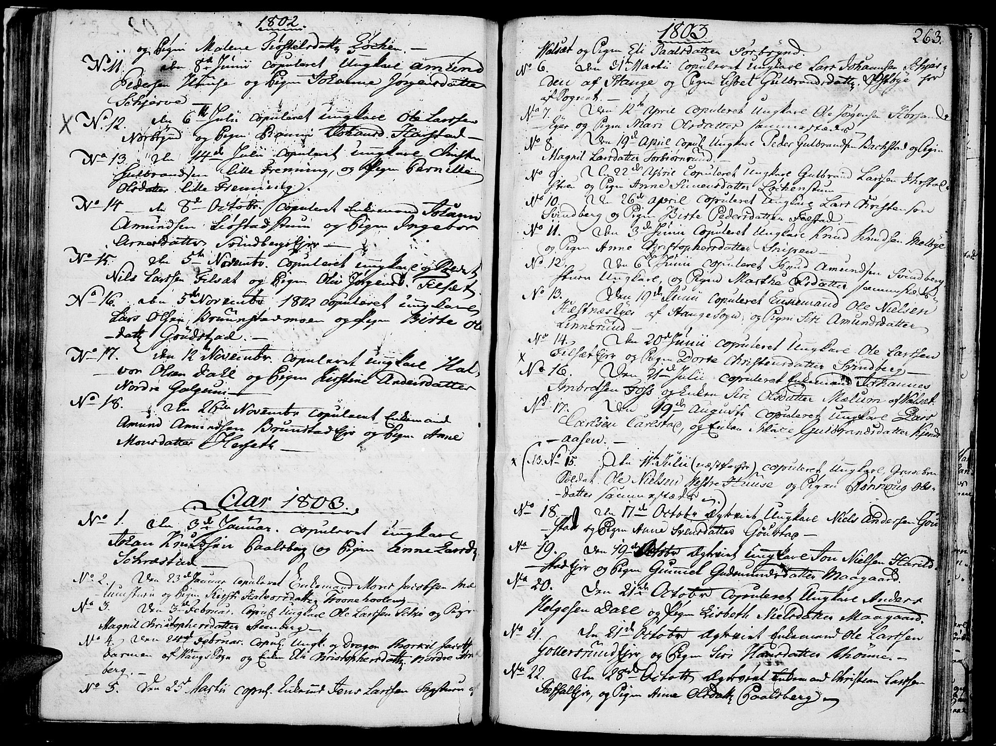 Romedal prestekontor, AV/SAH-PREST-004/K/L0001: Ministerialbok nr. 1, 1799-1814, s. 263