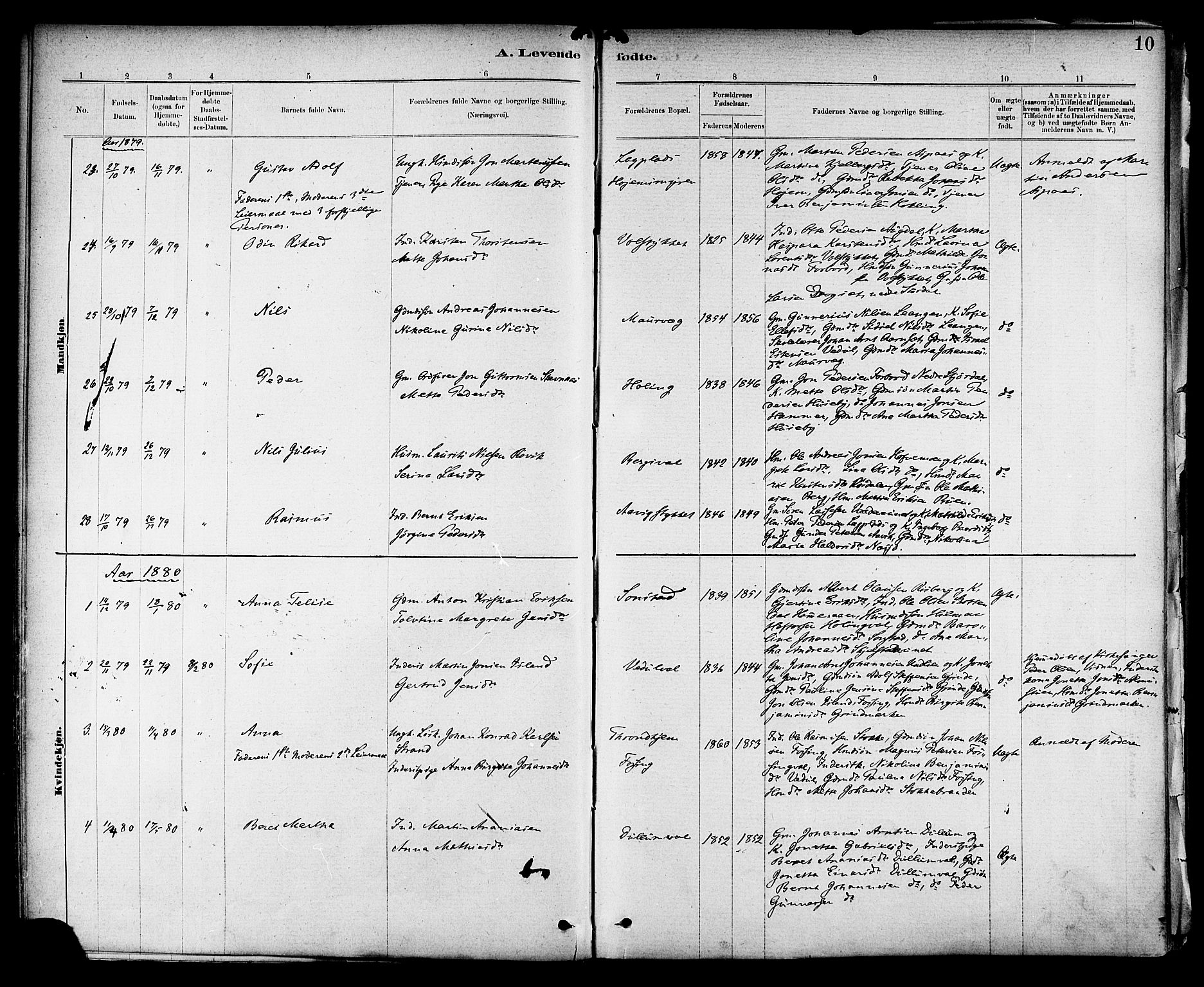 Ministerialprotokoller, klokkerbøker og fødselsregistre - Nord-Trøndelag, AV/SAT-A-1458/714/L0130: Ministerialbok nr. 714A01, 1878-1895, s. 10