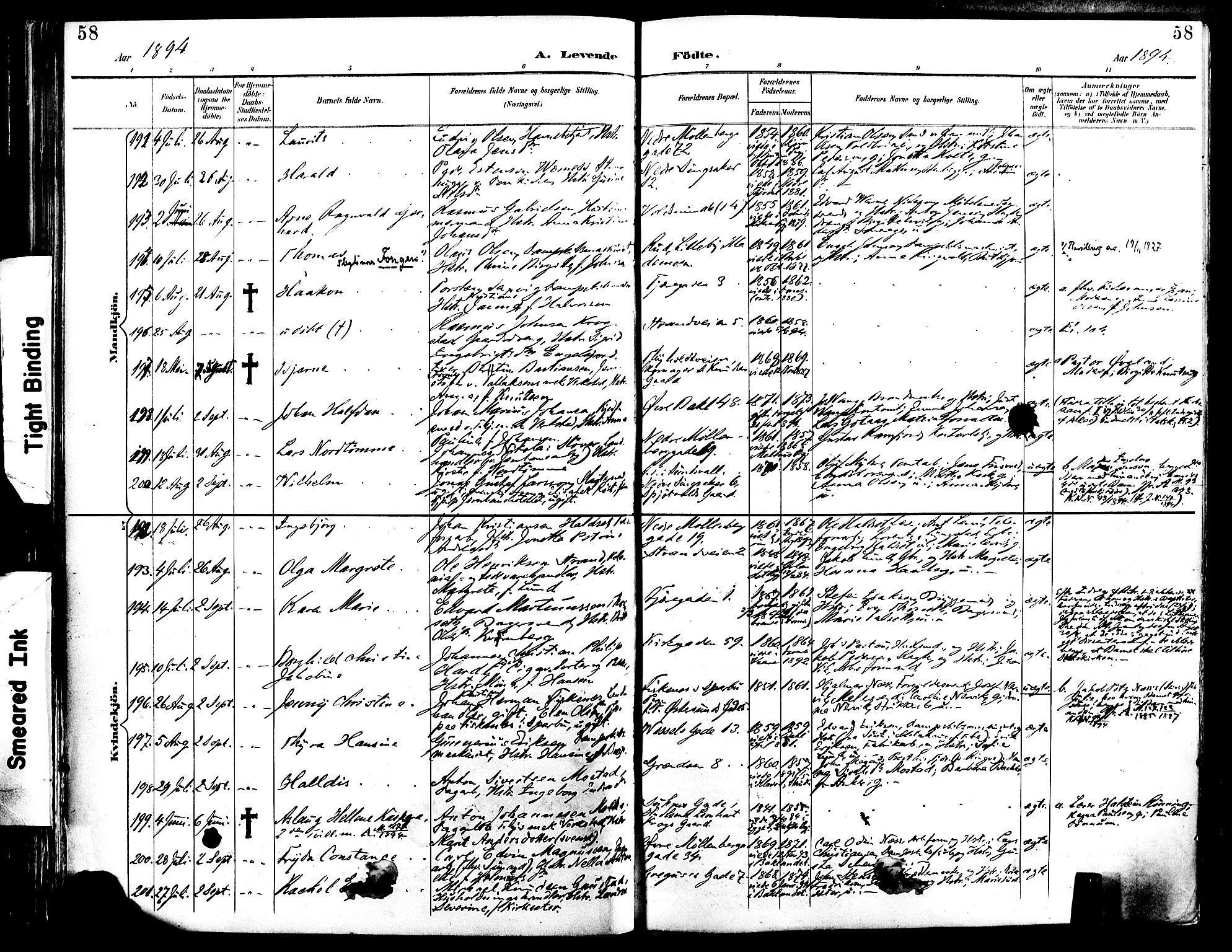 Ministerialprotokoller, klokkerbøker og fødselsregistre - Sør-Trøndelag, SAT/A-1456/604/L0197: Ministerialbok nr. 604A18, 1893-1900, s. 58