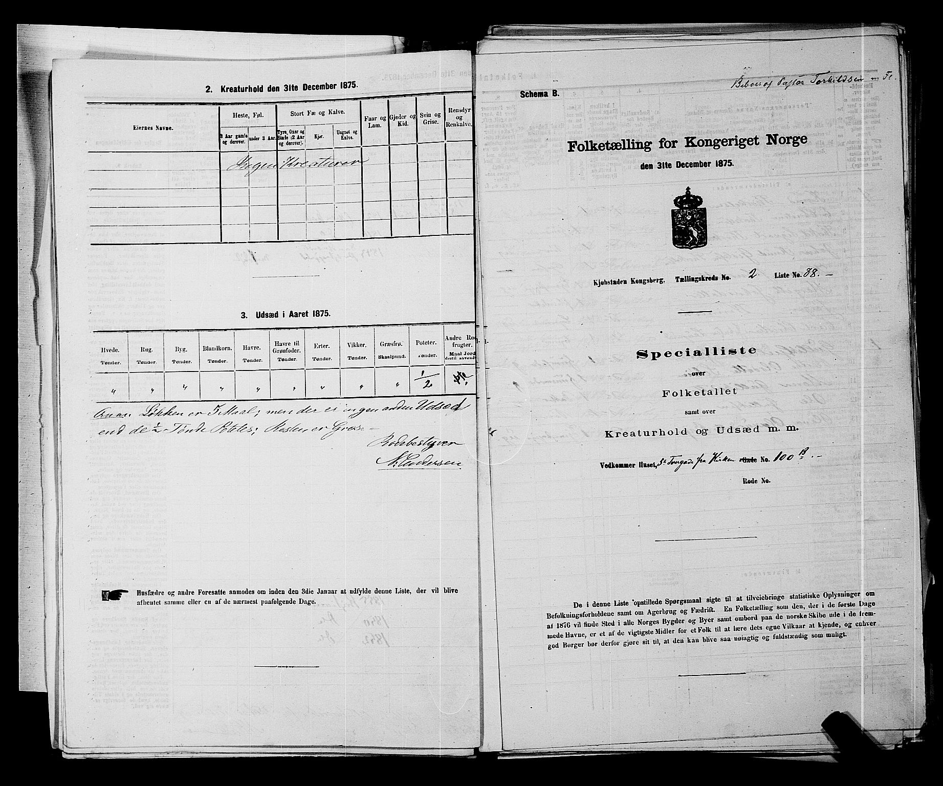 SAKO, Folketelling 1875 for 0604B Kongsberg prestegjeld, Kongsberg kjøpstad, 1875, s. 225