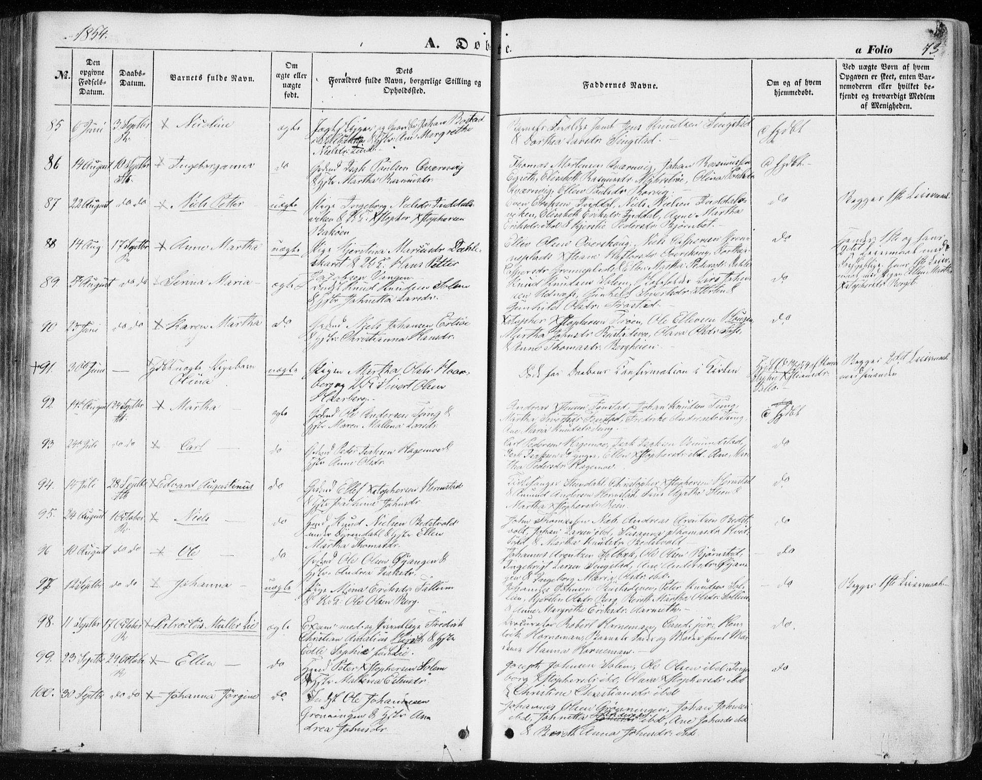 Ministerialprotokoller, klokkerbøker og fødselsregistre - Sør-Trøndelag, SAT/A-1456/646/L0611: Ministerialbok nr. 646A09, 1848-1857, s. 73