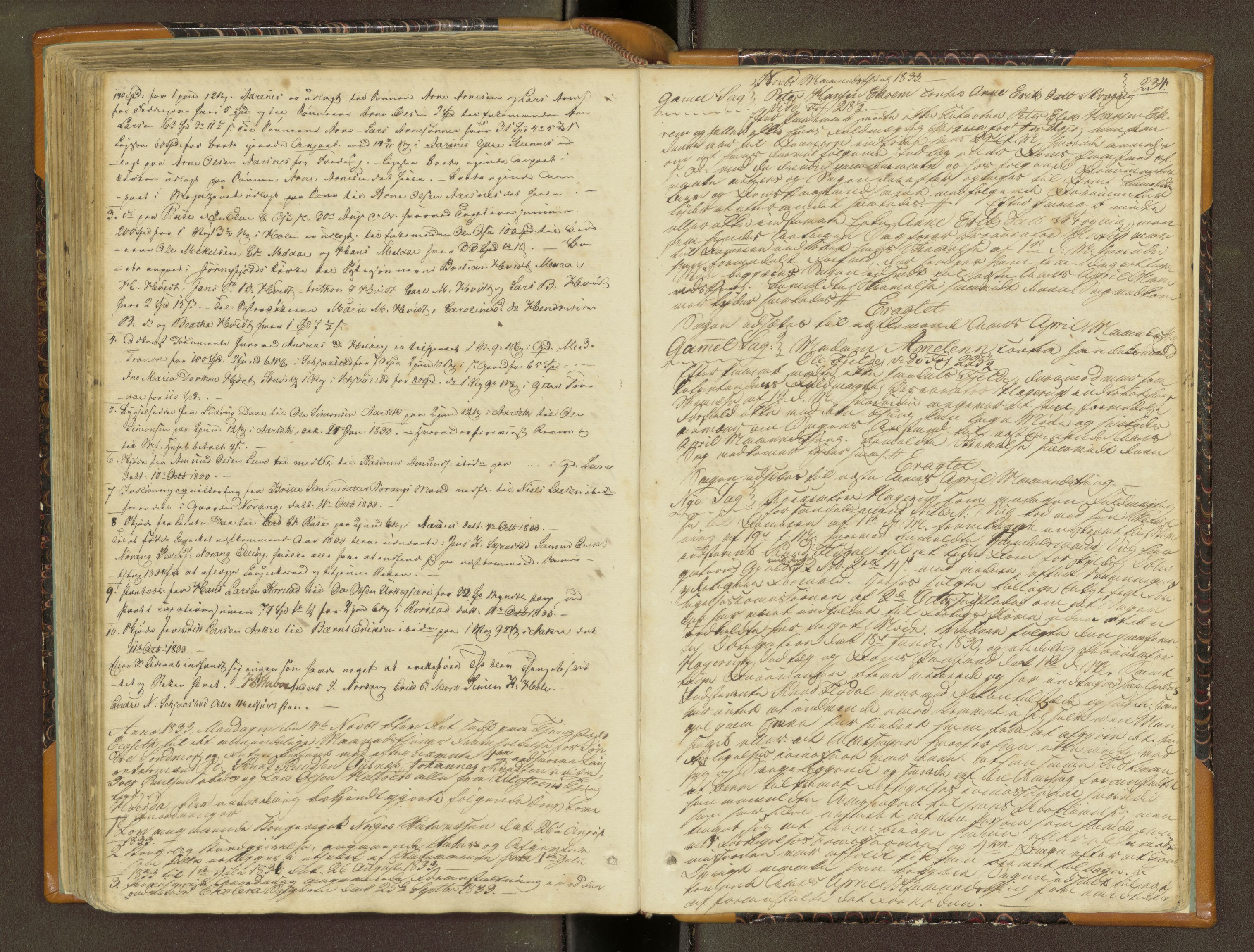 Søre Sunnmøre sorenskriveri, AV/SAT-A-4122/1/1/1A/L0004: Tingbok, 1830-1834, s. 233b-234a