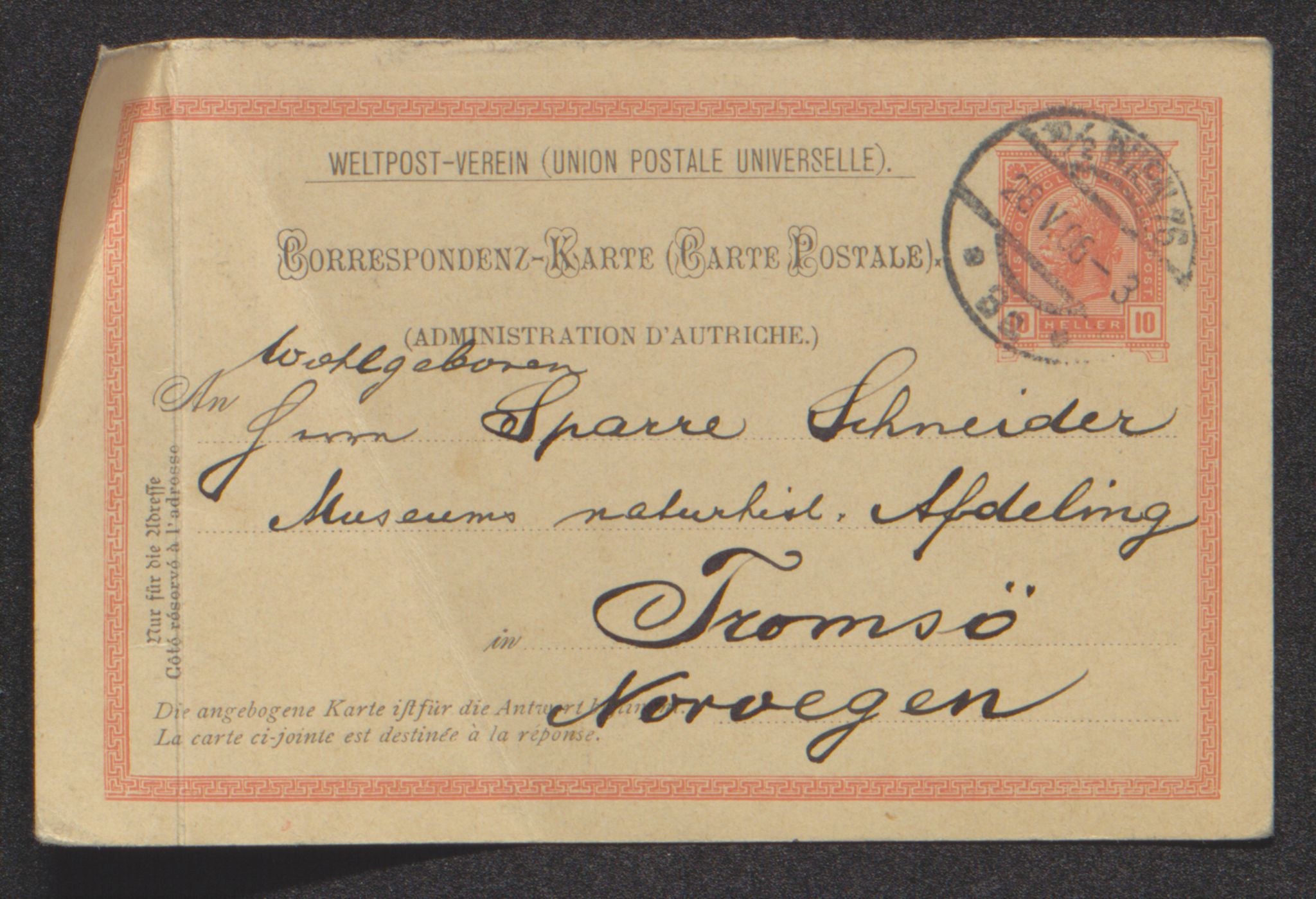 Tromsø Museum, AV/SATØ-S-0162/D/Dc/L0040: (1. konservator Sparre Schneider), 1906-1909