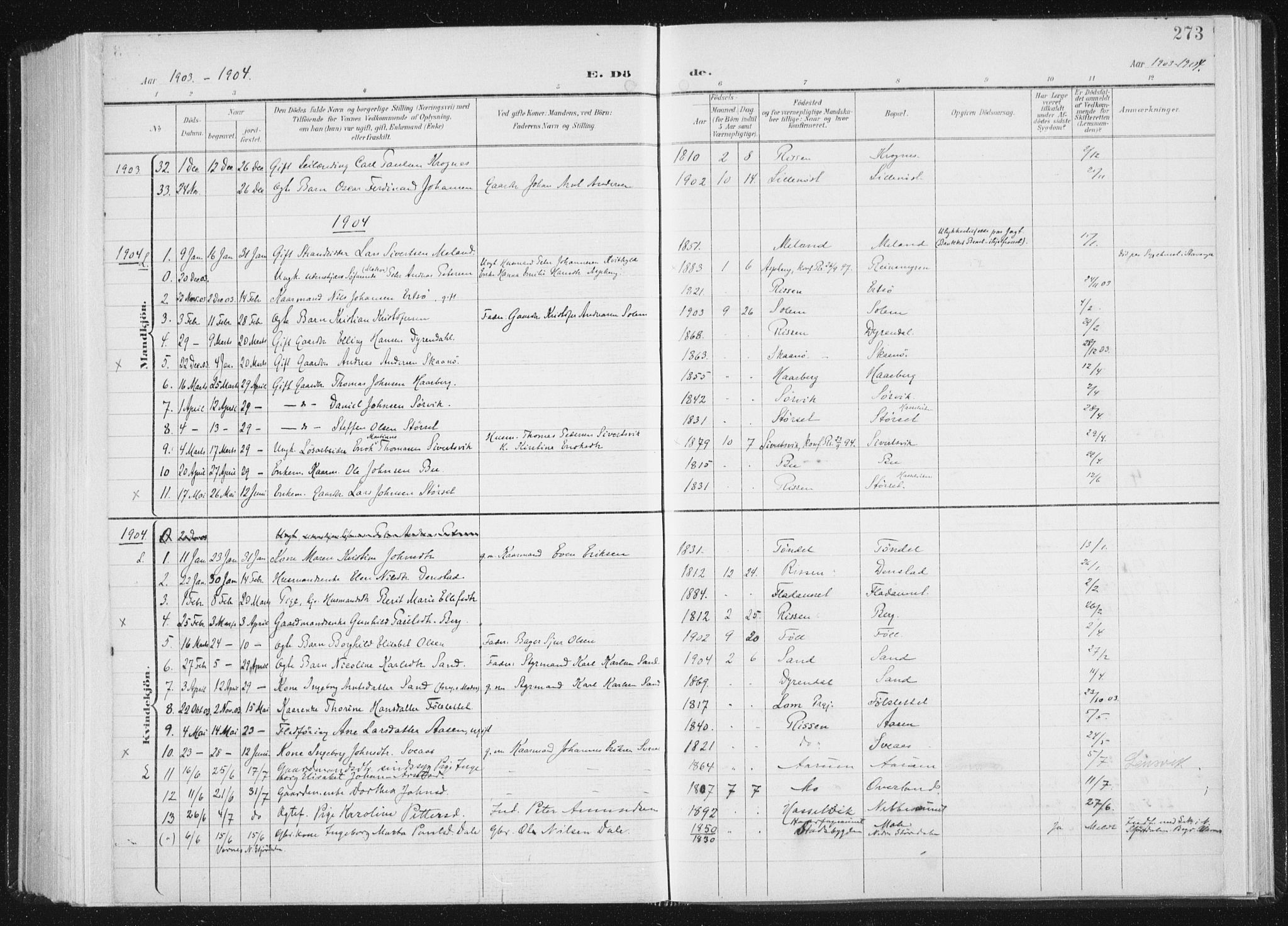 Ministerialprotokoller, klokkerbøker og fødselsregistre - Sør-Trøndelag, AV/SAT-A-1456/647/L0635: Ministerialbok nr. 647A02, 1896-1911, s. 273