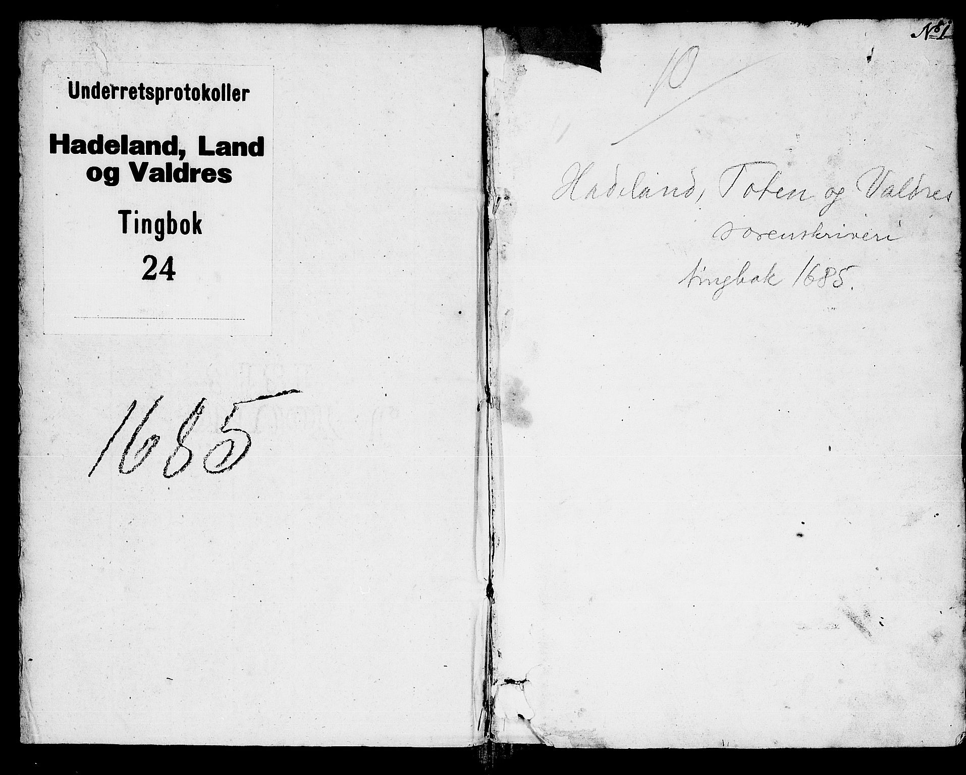 Hadeland, Land og Valdres sorenskriveri, AV/SAH-TING-028/G/Gb/L0024: Tingbok, 1685, s. 0b-1a