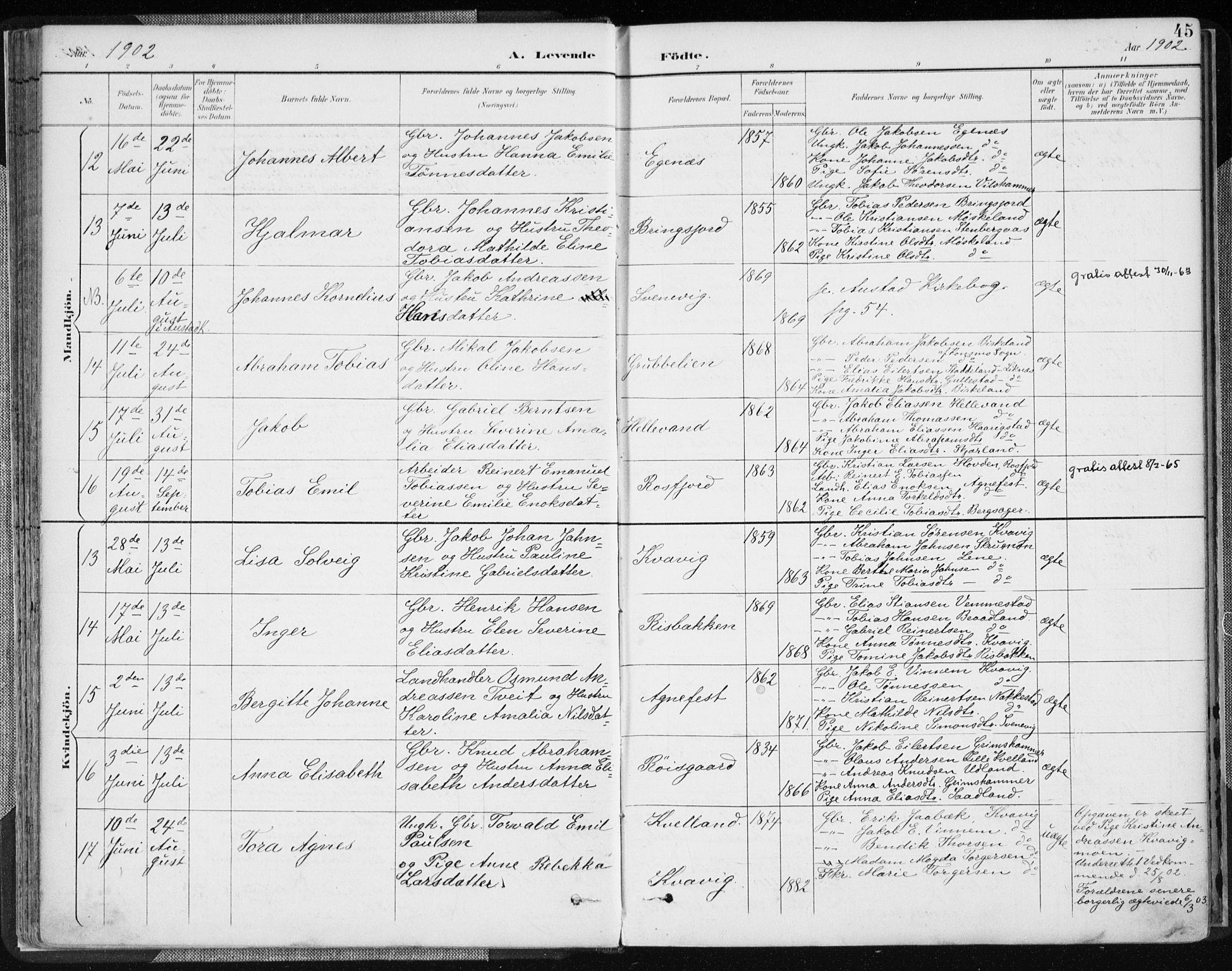 Lyngdal sokneprestkontor, AV/SAK-1111-0029/F/Fa/Fac/L0012: Ministerialbok nr. A 12, 1894-1918, s. 45