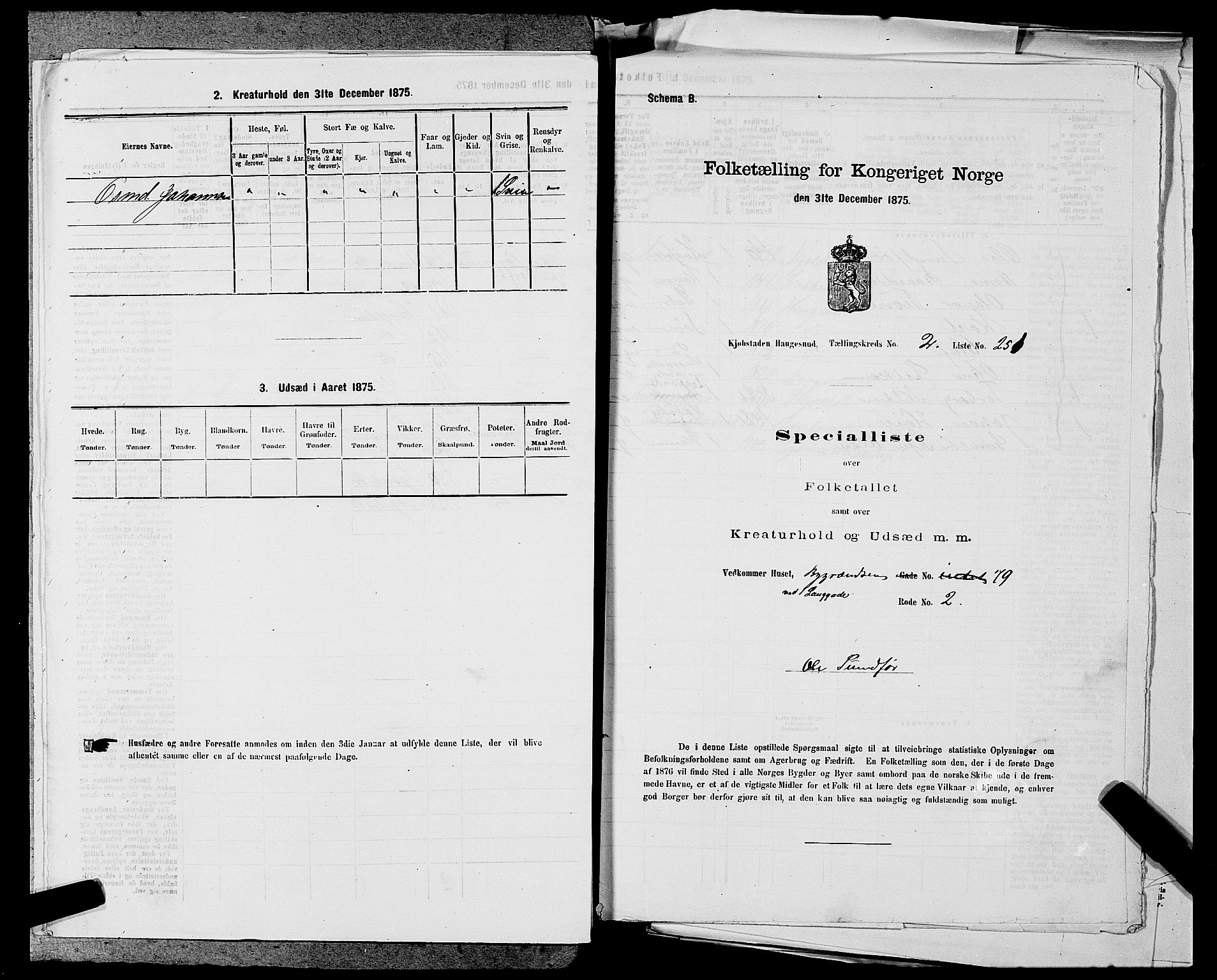 SAST, Folketelling 1875 for 1106B Torvastad prestegjeld, Haugesund kjøpstad, 1875, s. 575