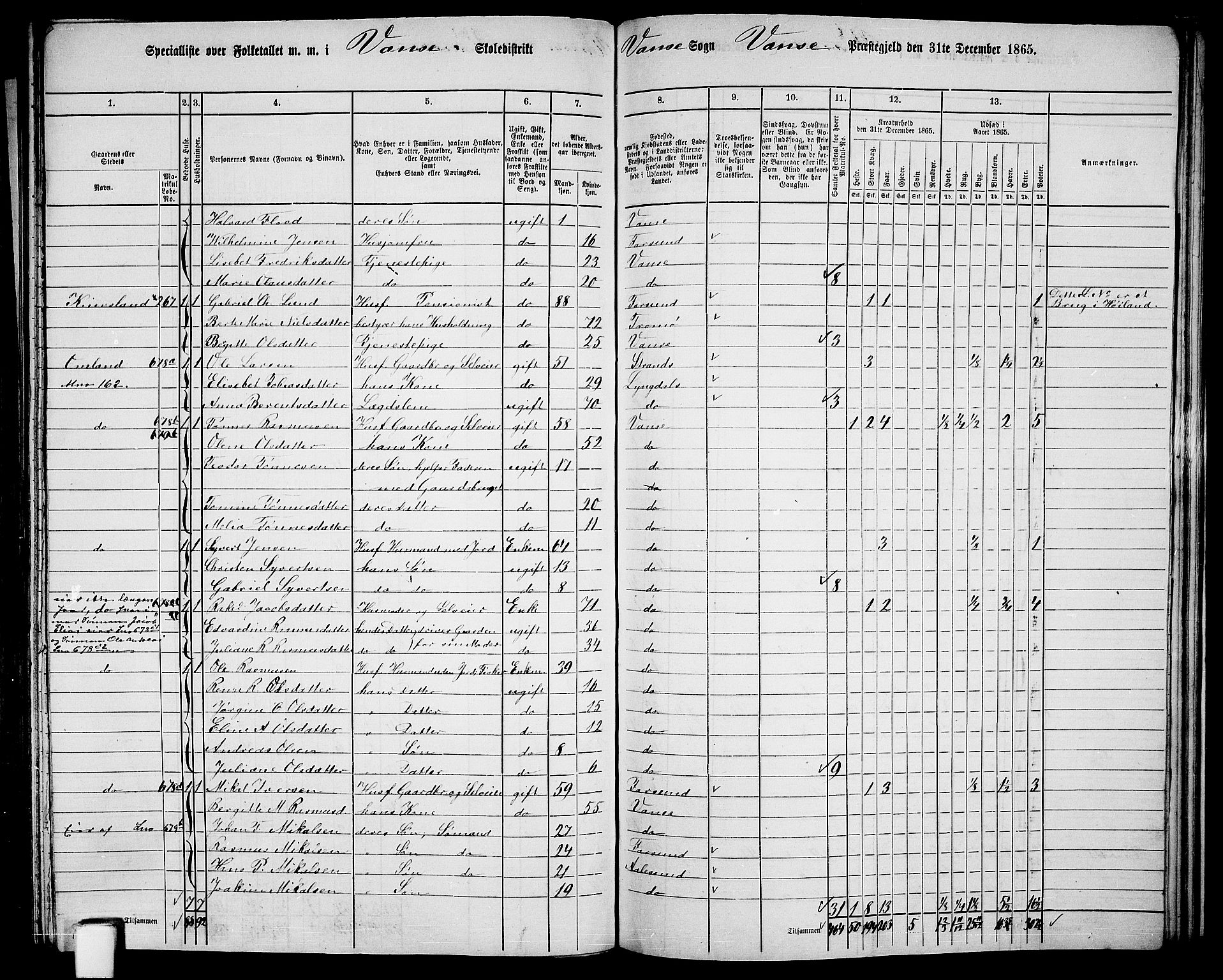 RA, Folketelling 1865 for 1041L Vanse prestegjeld, Vanse sokn og Farsund landsokn, 1865, s. 236
