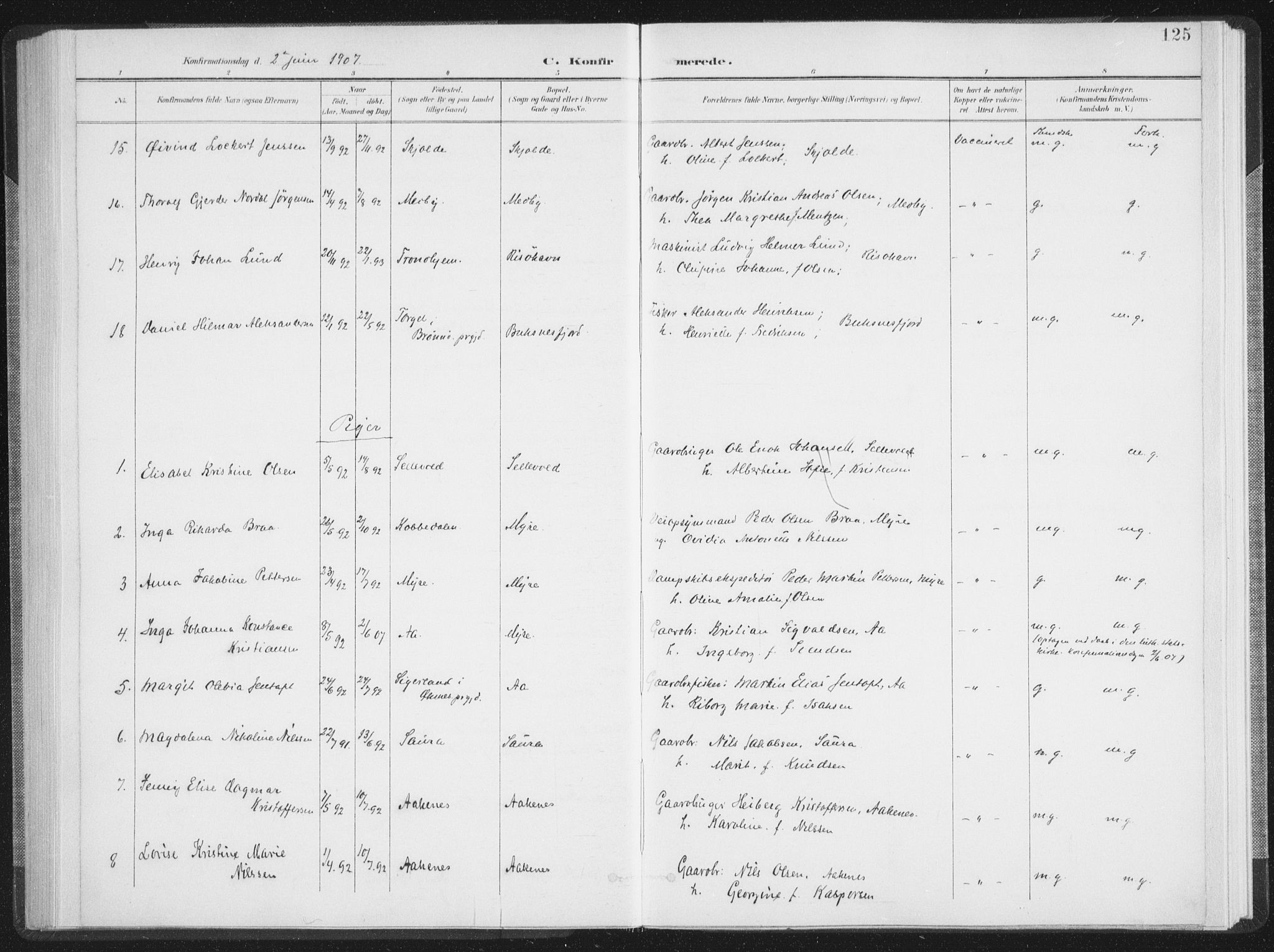 Ministerialprotokoller, klokkerbøker og fødselsregistre - Nordland, SAT/A-1459/897/L1400: Ministerialbok nr. 897A07, 1897-1908, s. 125
