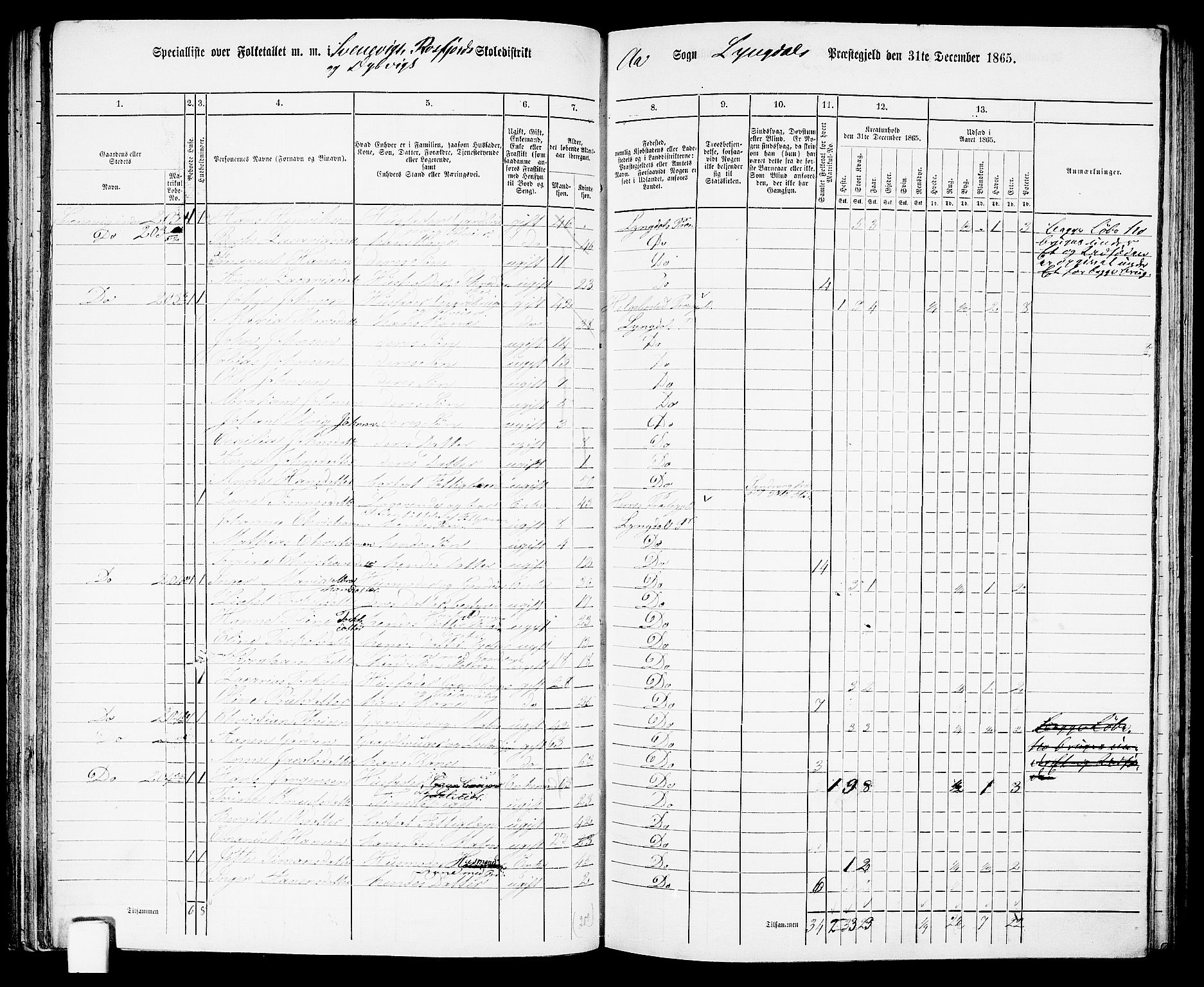 RA, Folketelling 1865 for 1032P Lyngdal prestegjeld, 1865, s. 89