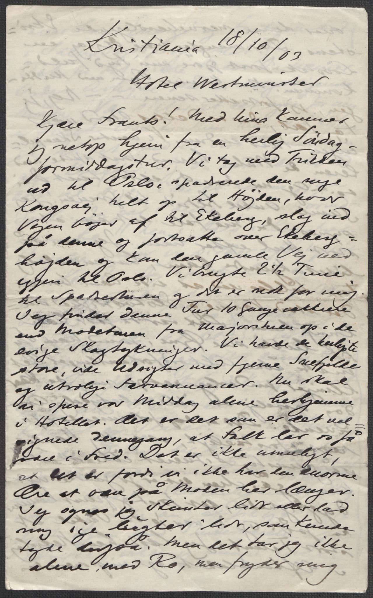 Beyer, Frants, RA/PA-0132/F/L0001: Brev fra Edvard Grieg til Frantz Beyer og "En del optegnelser som kan tjene til kommentar til brevene" av Marie Beyer, 1872-1907, s. 729