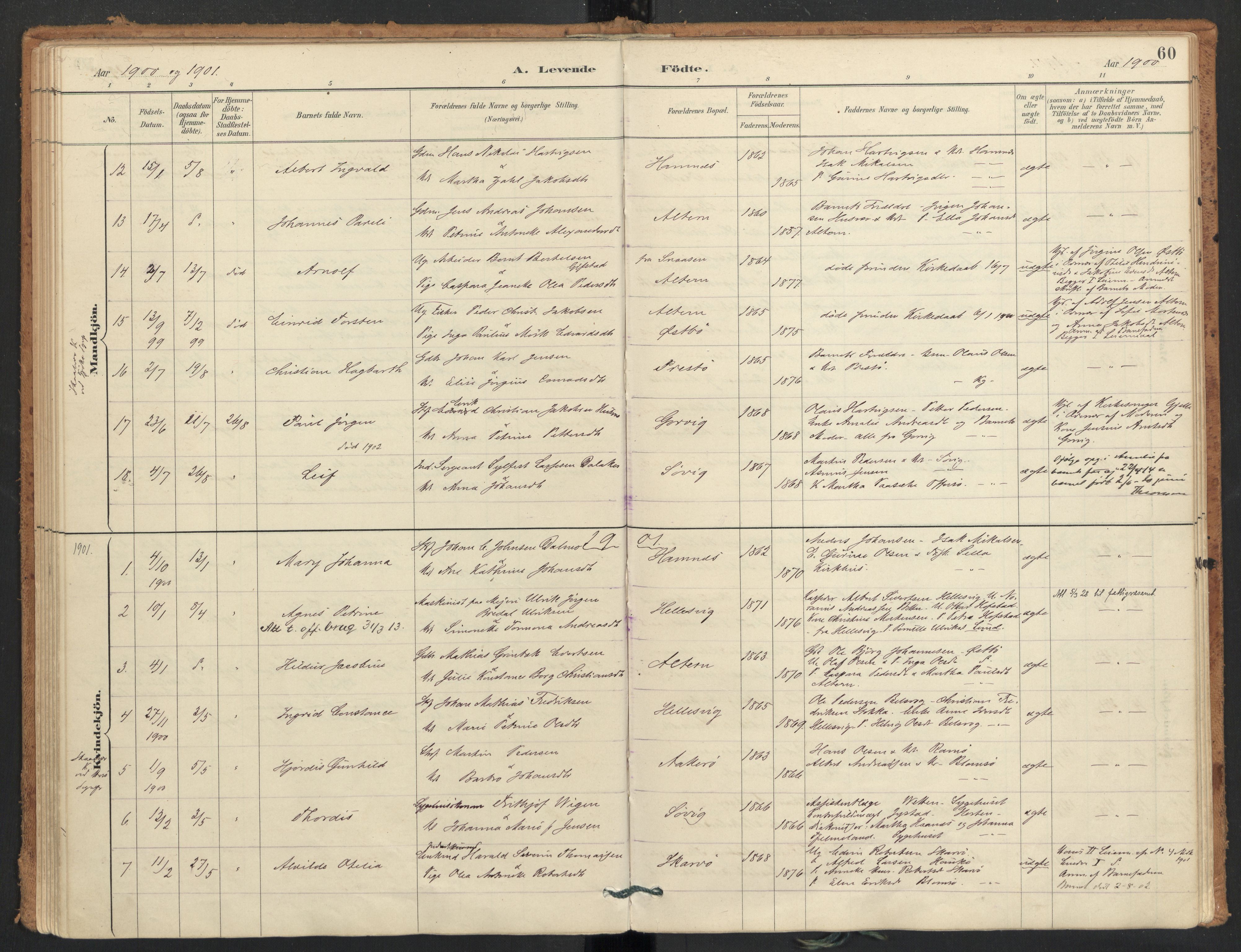 Ministerialprotokoller, klokkerbøker og fødselsregistre - Nordland, AV/SAT-A-1459/830/L0453: Ministerialbok nr. 830A17, 1886-1911, s. 60
