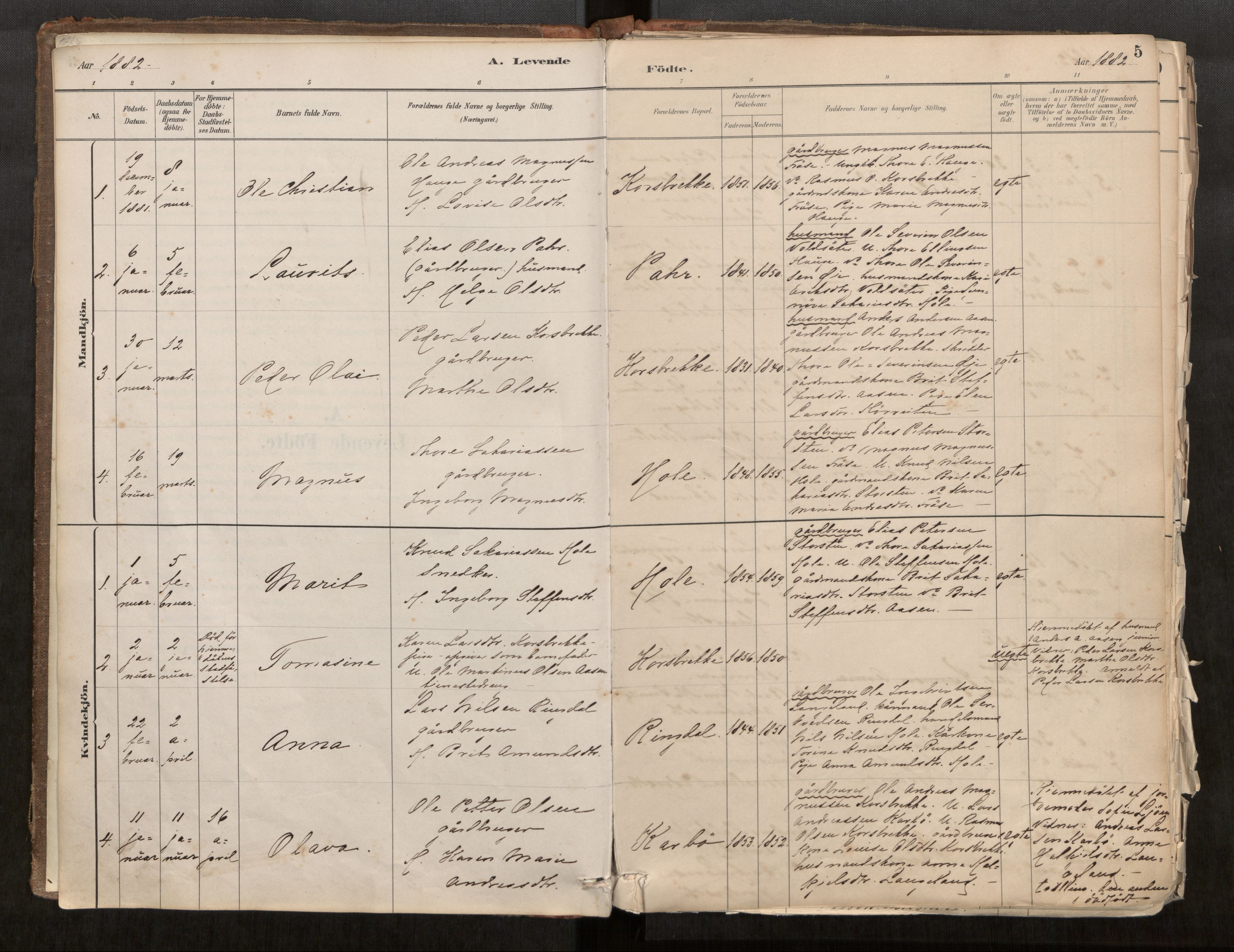 Sunnylven sokneprestkontor, AV/SAT-A-1007/H/Ha/Haa/L0002: Ministerialbok nr. 517A09, 1882-1939, s. 5