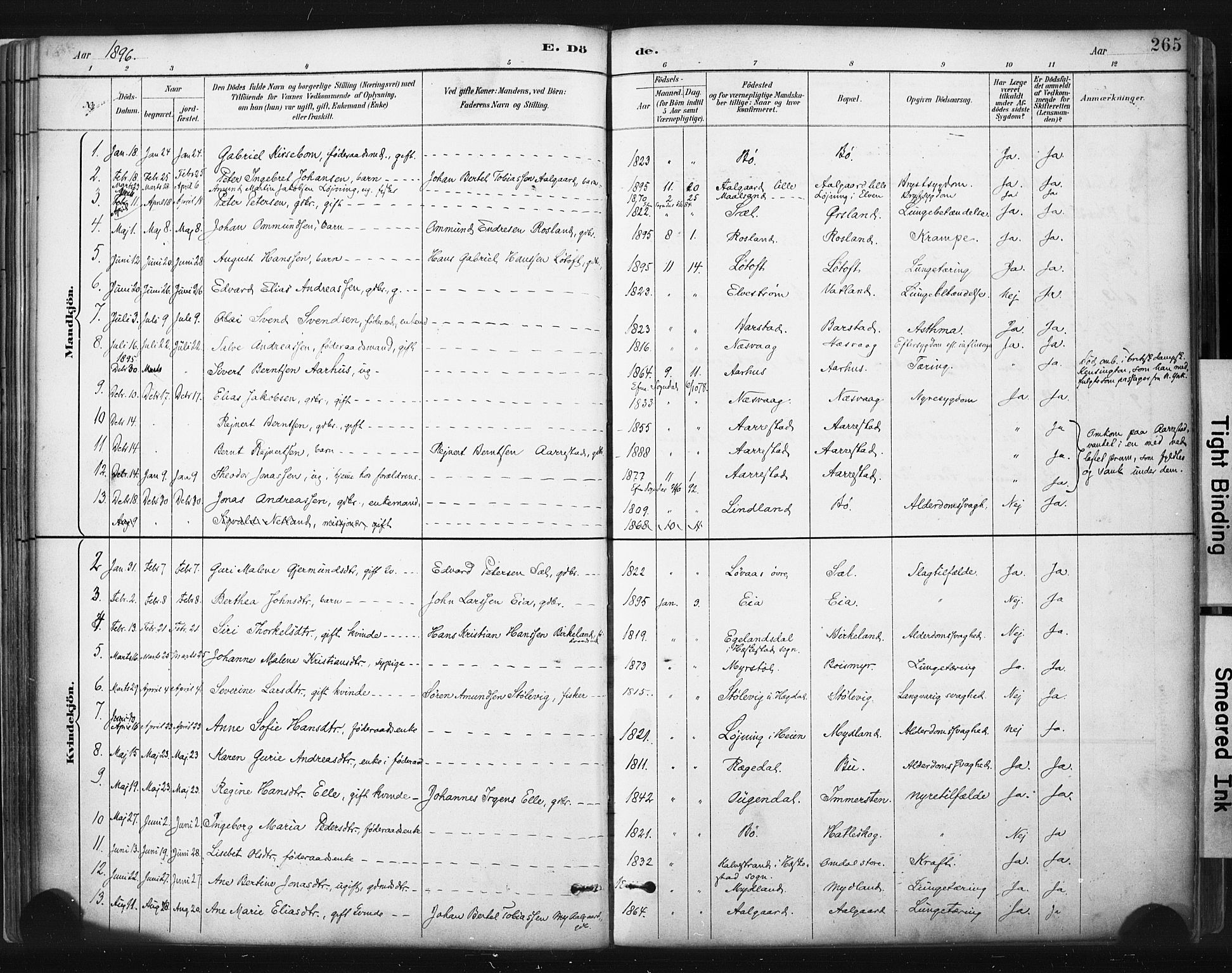 Sokndal sokneprestkontor, AV/SAST-A-101808: Ministerialbok nr. A 11.2, 1887-1905, s. 265