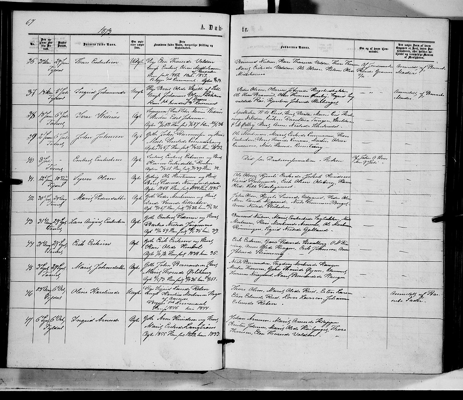Tynset prestekontor, AV/SAH-PREST-058/H/Ha/Haa/L0021: Ministerialbok nr. 21, 1863-1879, s. 67
