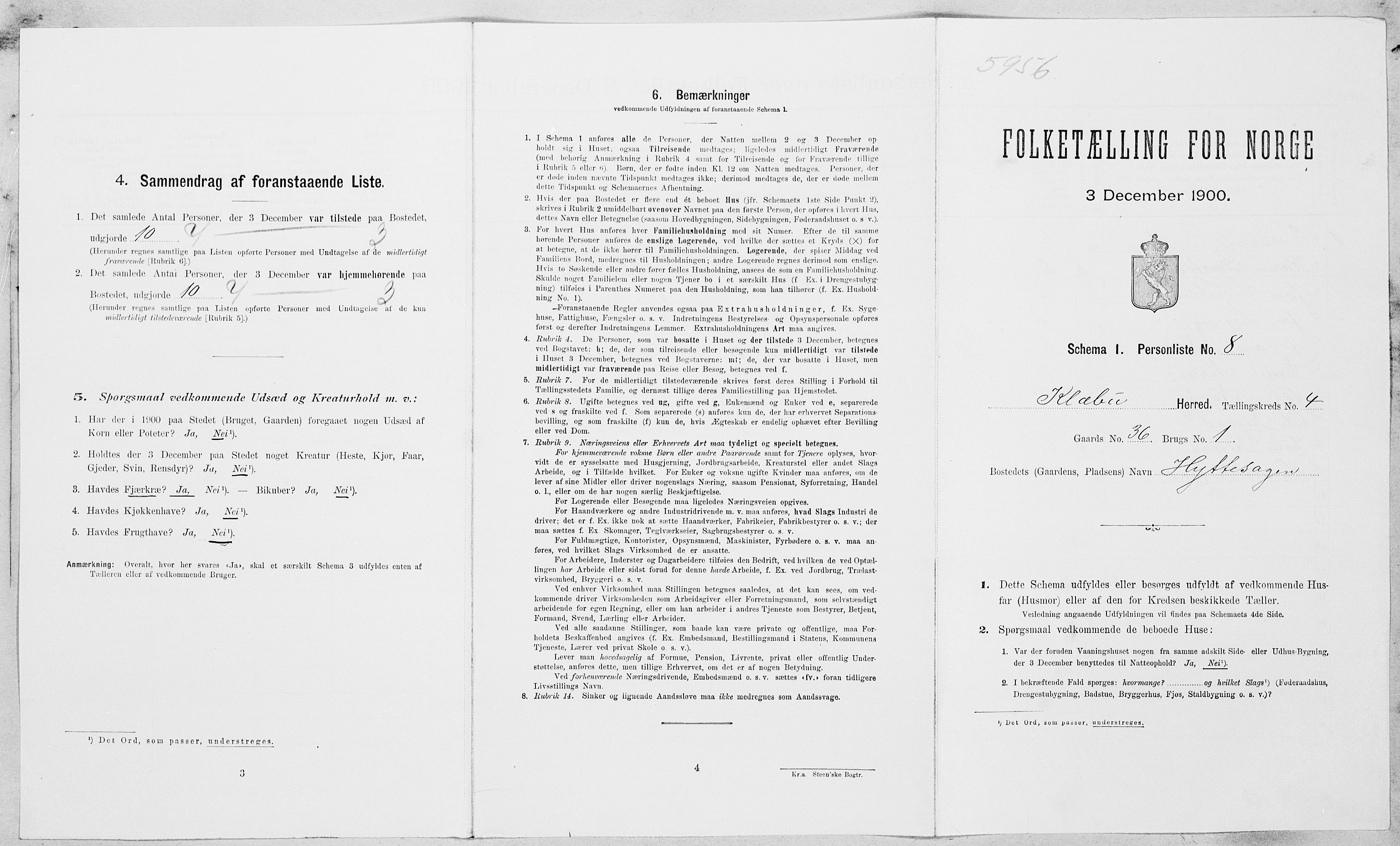 SAT, Folketelling 1900 for 1662 Klæbu herred, 1900, s. 196