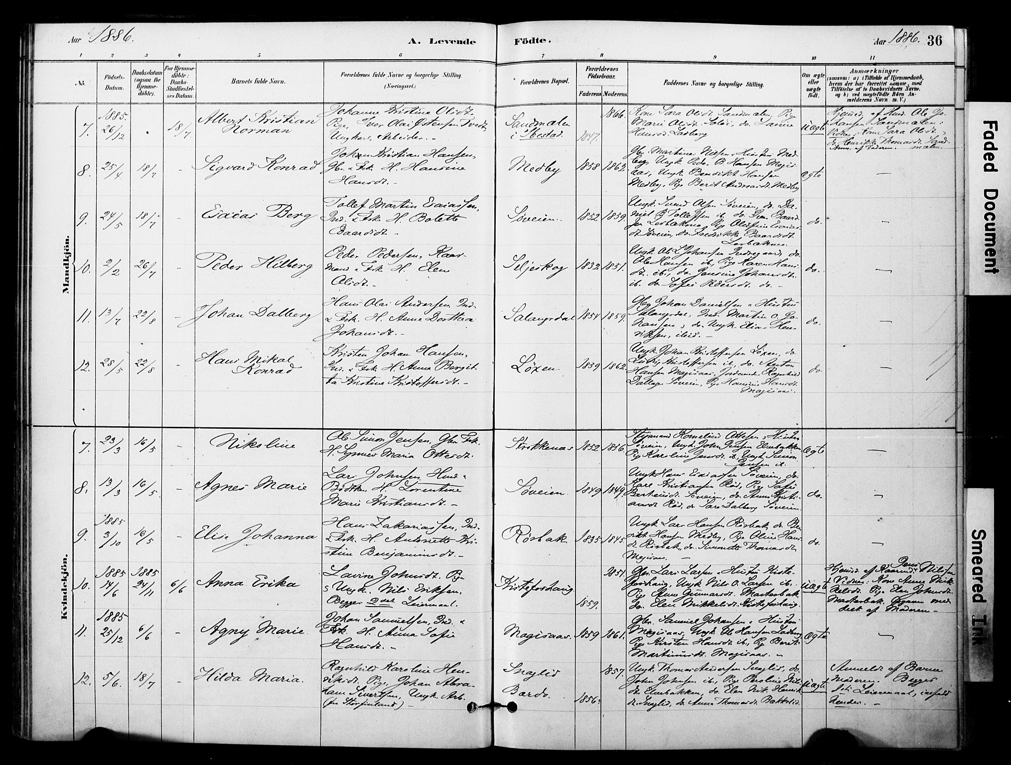 Ibestad sokneprestembete, AV/SATØ-S-0077/H/Ha/Haa/L0014kirke: Ministerialbok nr. 14, 1880-1887, s. 36