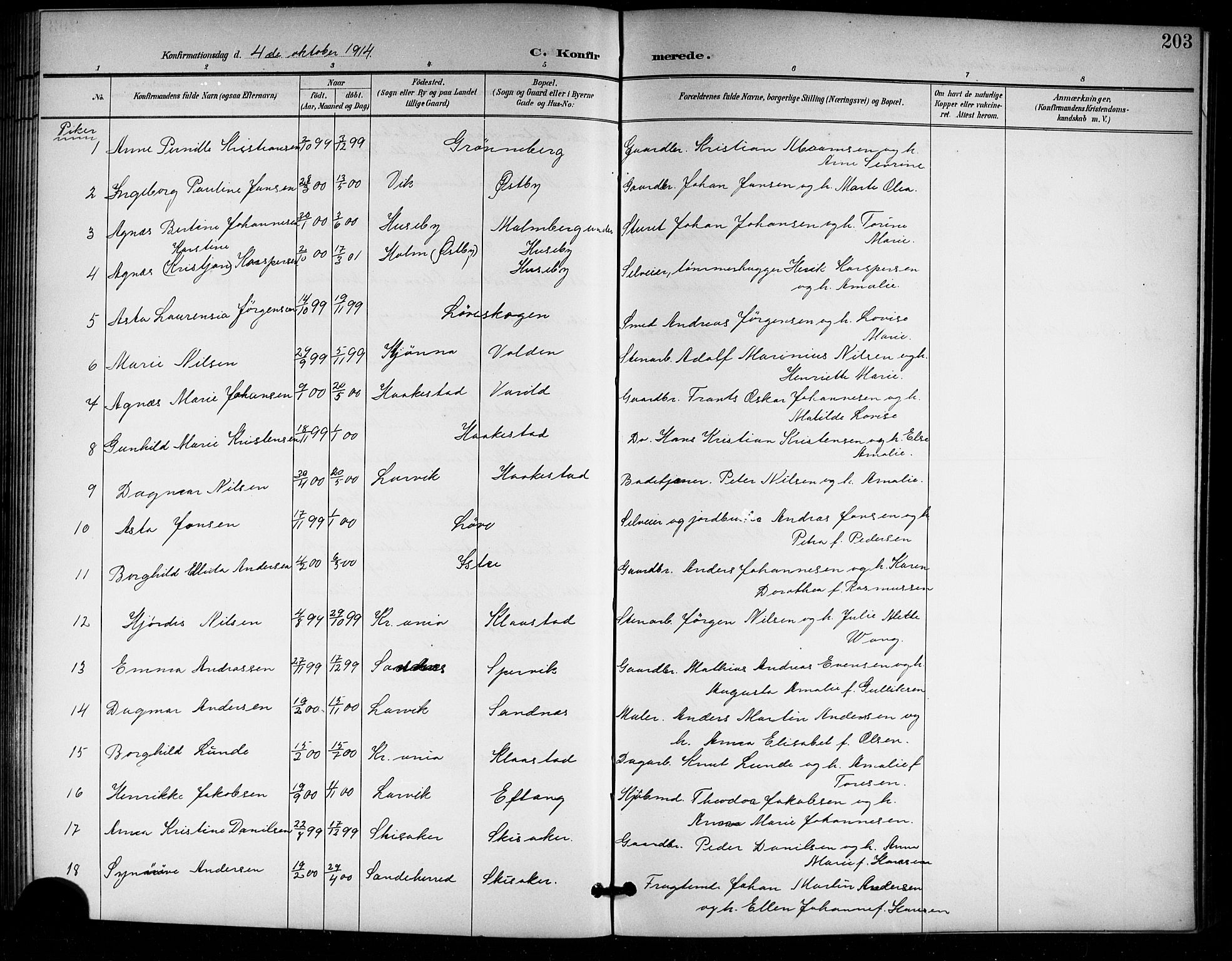 Tjølling kirkebøker, AV/SAKO-A-60/G/Ga/L0002: Klokkerbok nr. 2, 1895-1918, s. 203