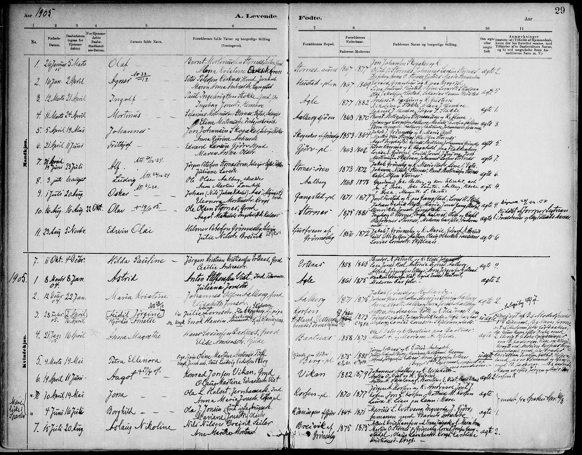 Ministerialprotokoller, klokkerbøker og fødselsregistre - Nord-Trøndelag, SAT/A-1458/732/L0316: Ministerialbok nr. 732A01, 1879-1921, s. 29