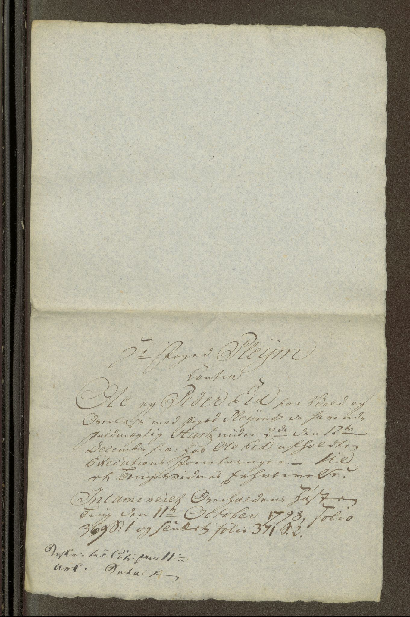 Namdal sorenskriveri, AV/SAT-A-4133/1/1/1O/1Oa/L0007: Sivile og offentlige saker, 1798, s. 345