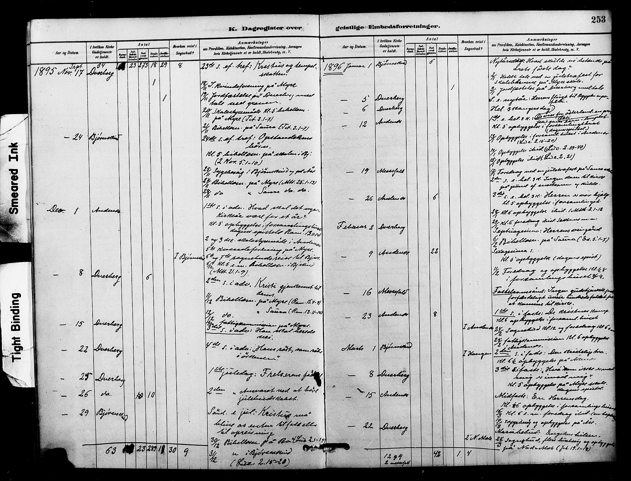 Ministerialprotokoller, klokkerbøker og fødselsregistre - Nordland, AV/SAT-A-1459/897/L1399: Ministerialbok nr. 897C06, 1881-1896, s. 253