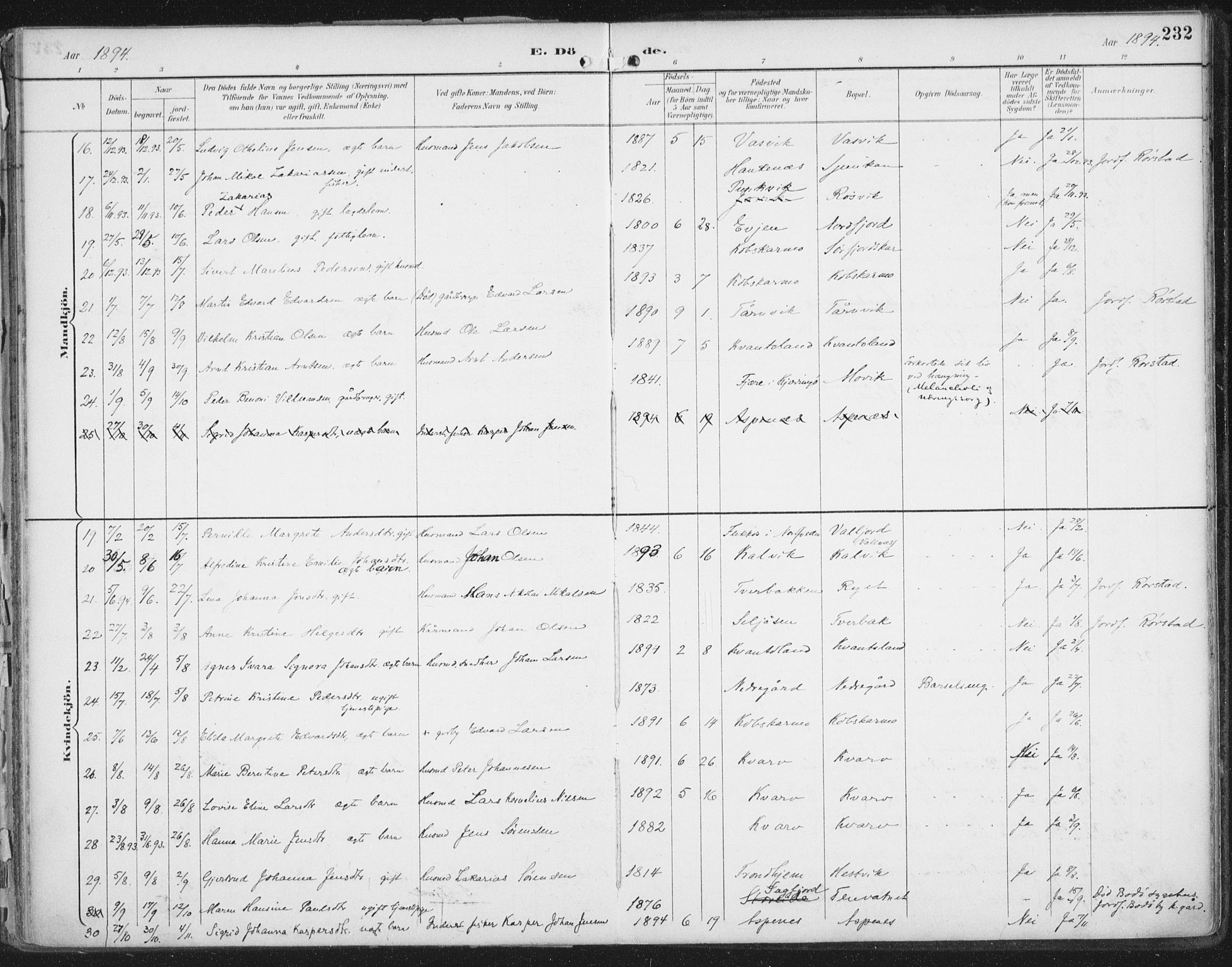 Ministerialprotokoller, klokkerbøker og fødselsregistre - Nordland, AV/SAT-A-1459/854/L0779: Ministerialbok nr. 854A02, 1892-1909, s. 232