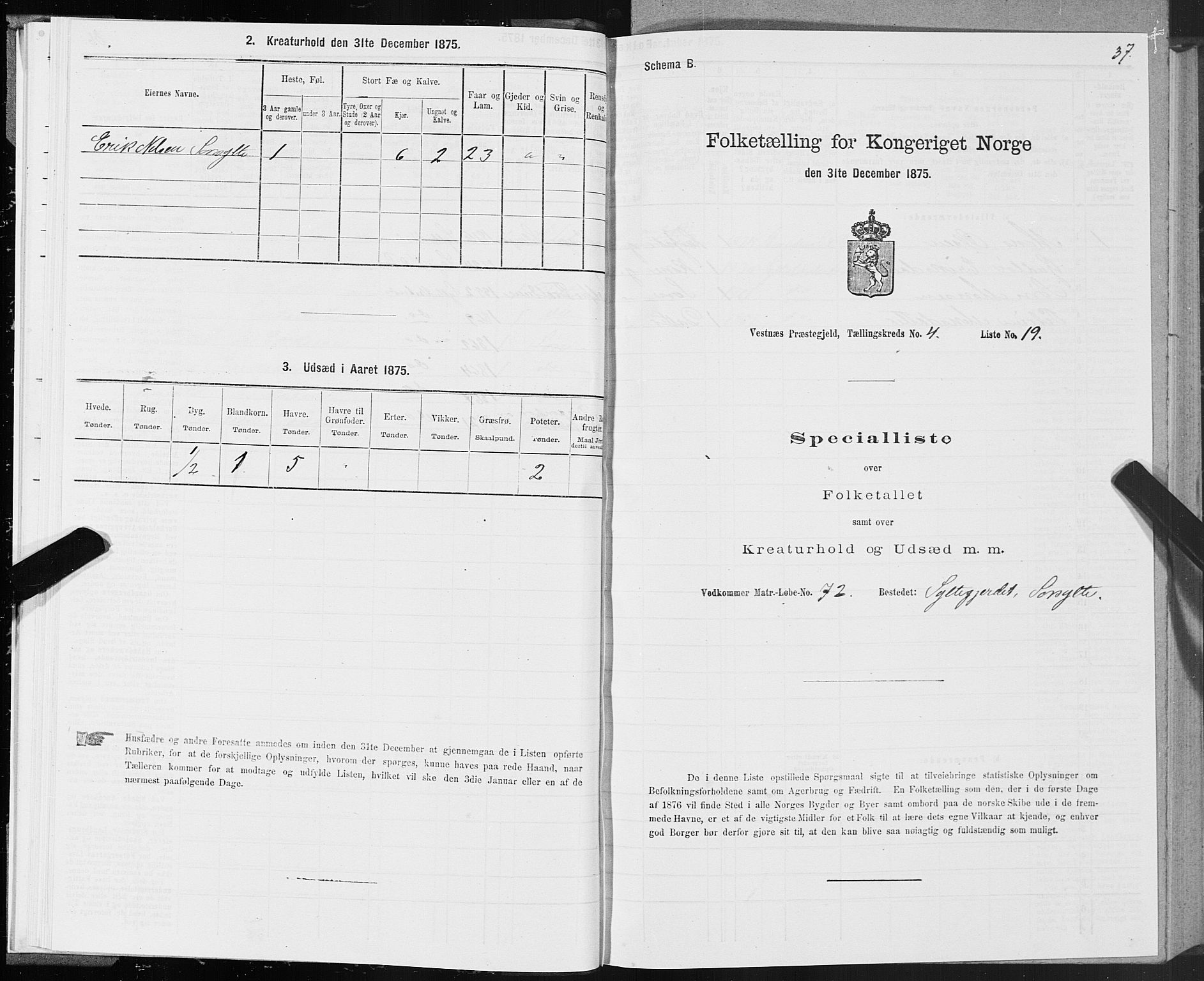 SAT, Folketelling 1875 for 1535P Vestnes prestegjeld, 1875, s. 2037
