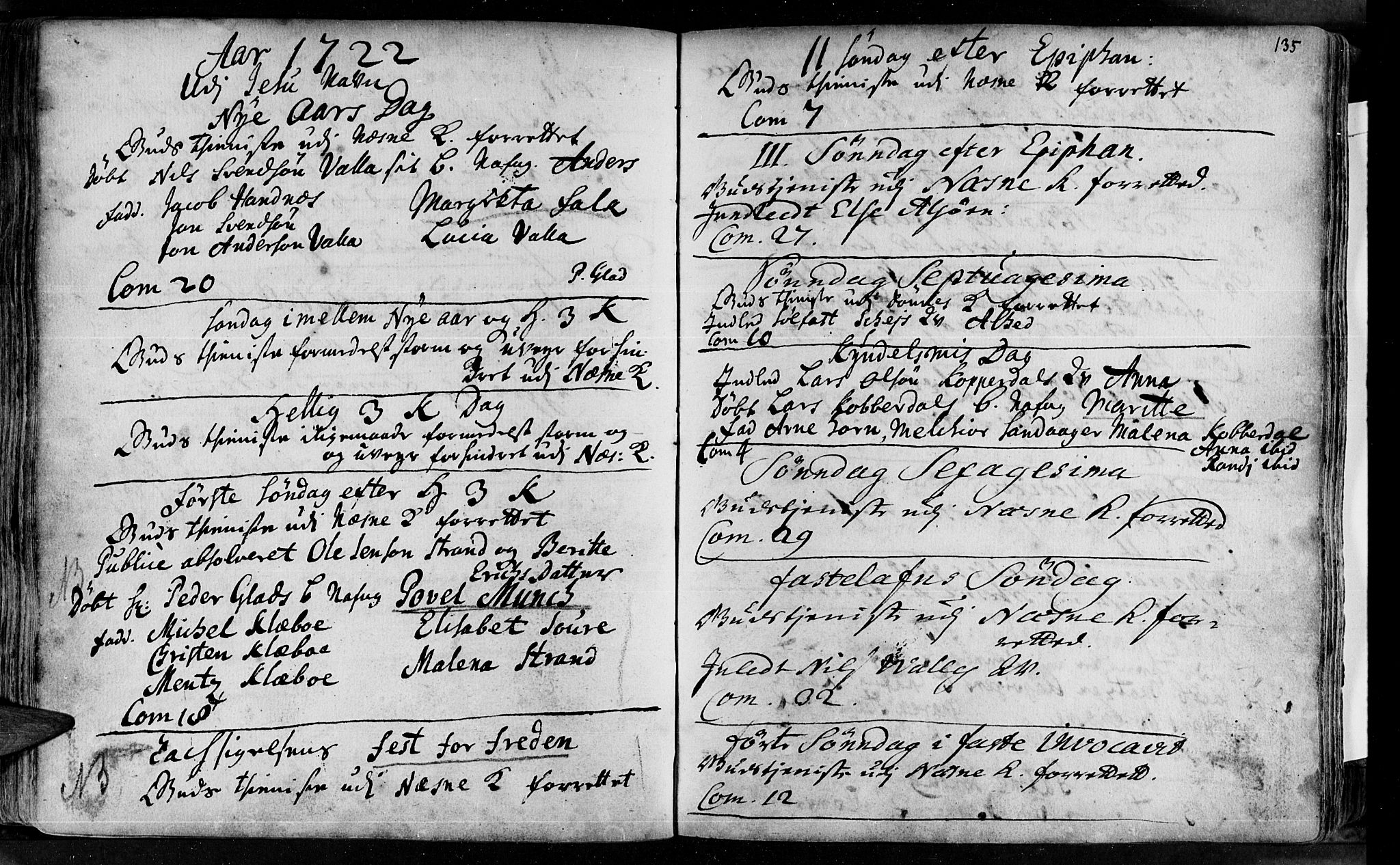 Ministerialprotokoller, klokkerbøker og fødselsregistre - Nordland, AV/SAT-A-1459/838/L0542: Ministerialbok nr. 838A01, 1704-1737, s. 135