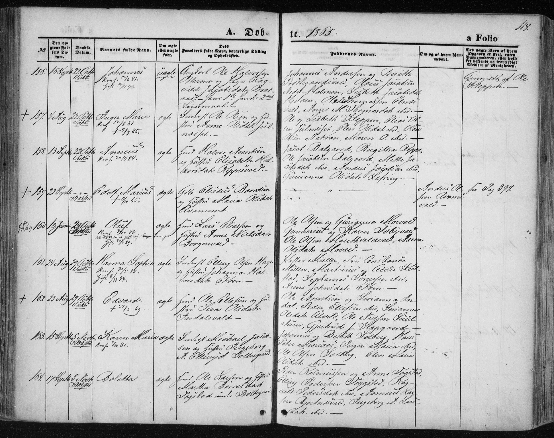 Ministerialprotokoller, klokkerbøker og fødselsregistre - Nord-Trøndelag, AV/SAT-A-1458/723/L0241: Ministerialbok nr. 723A10, 1860-1869, s. 114